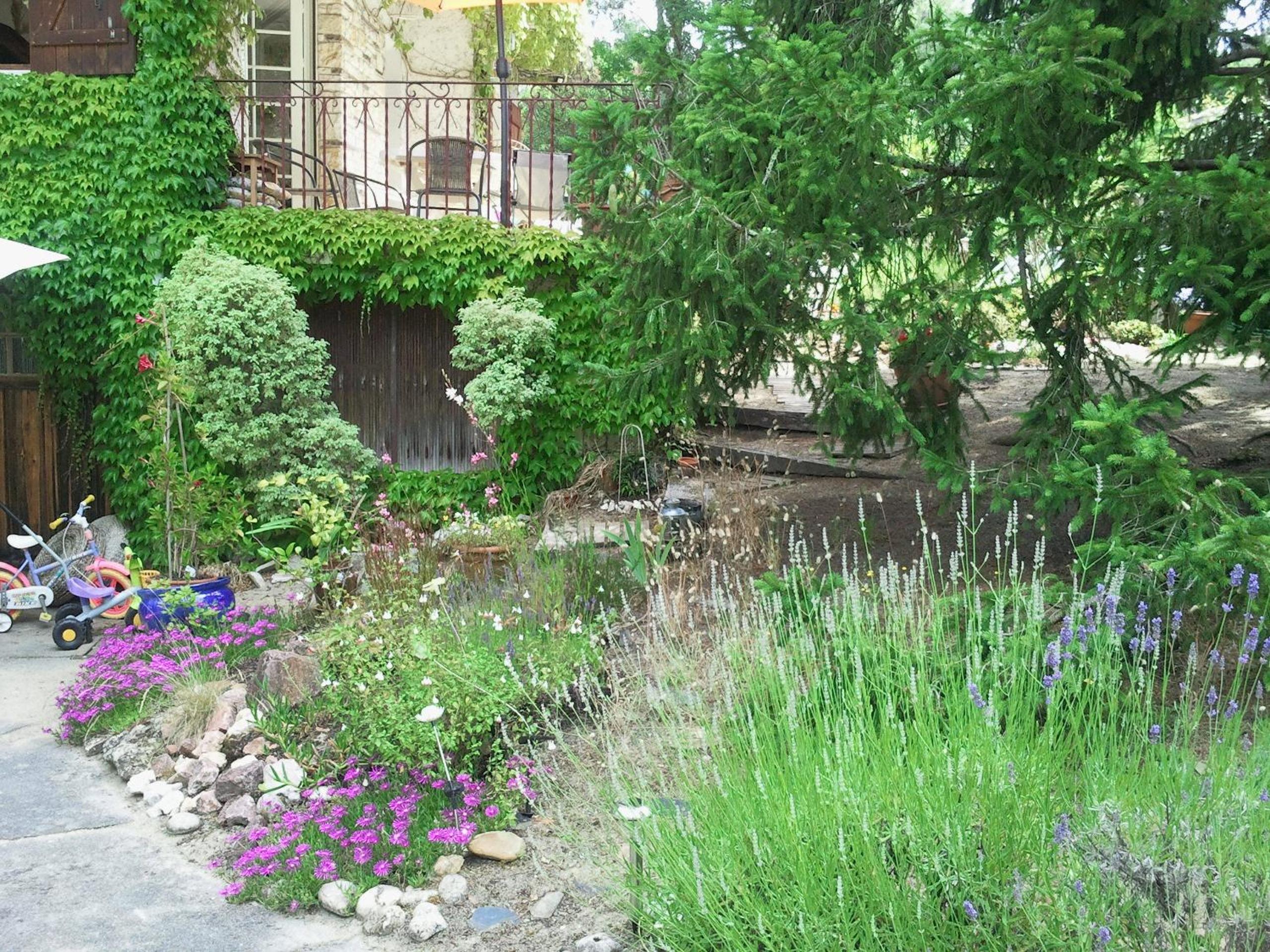 Photo 16