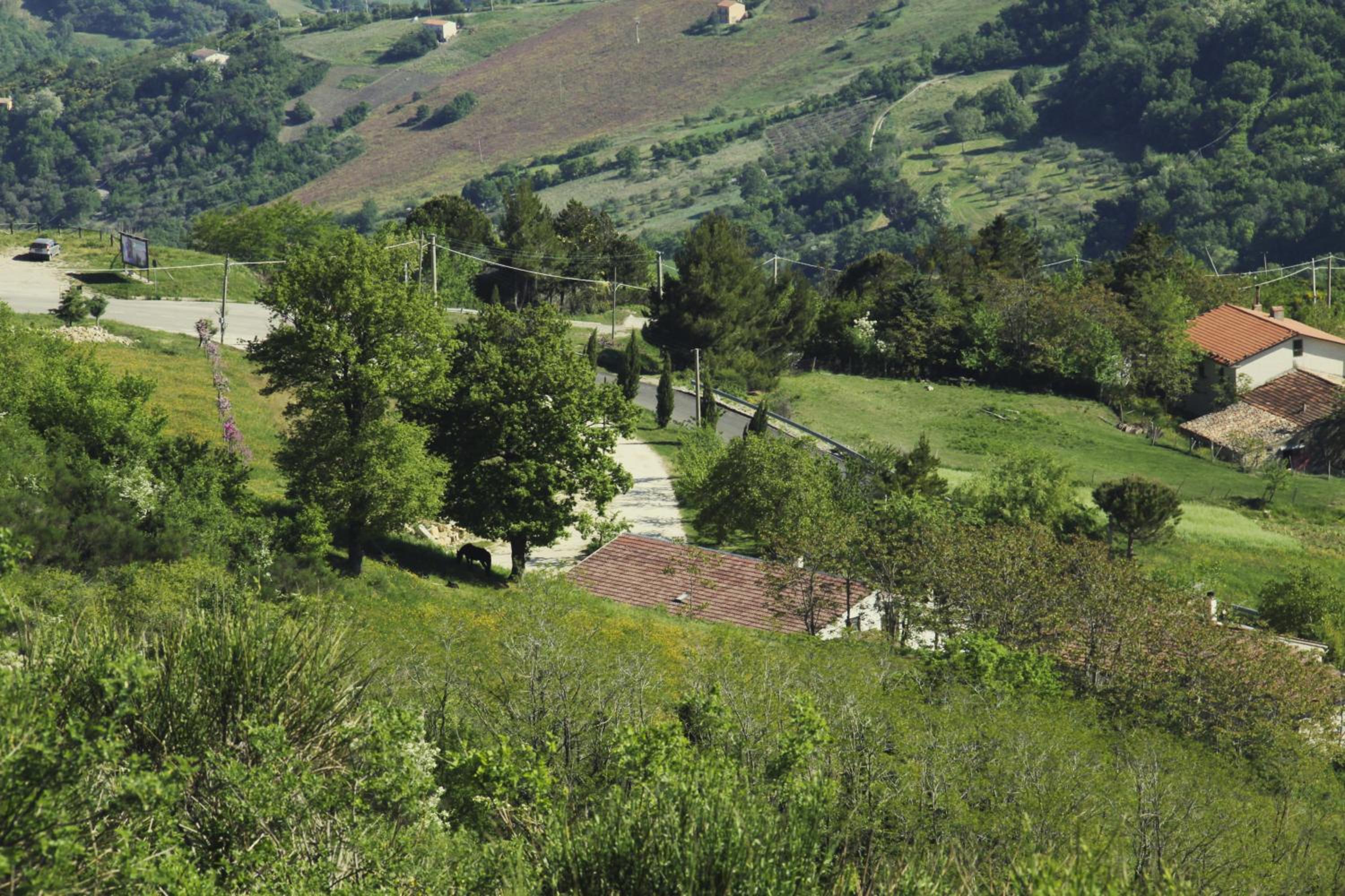 Agriturismo Il Regio Tratturo view 2