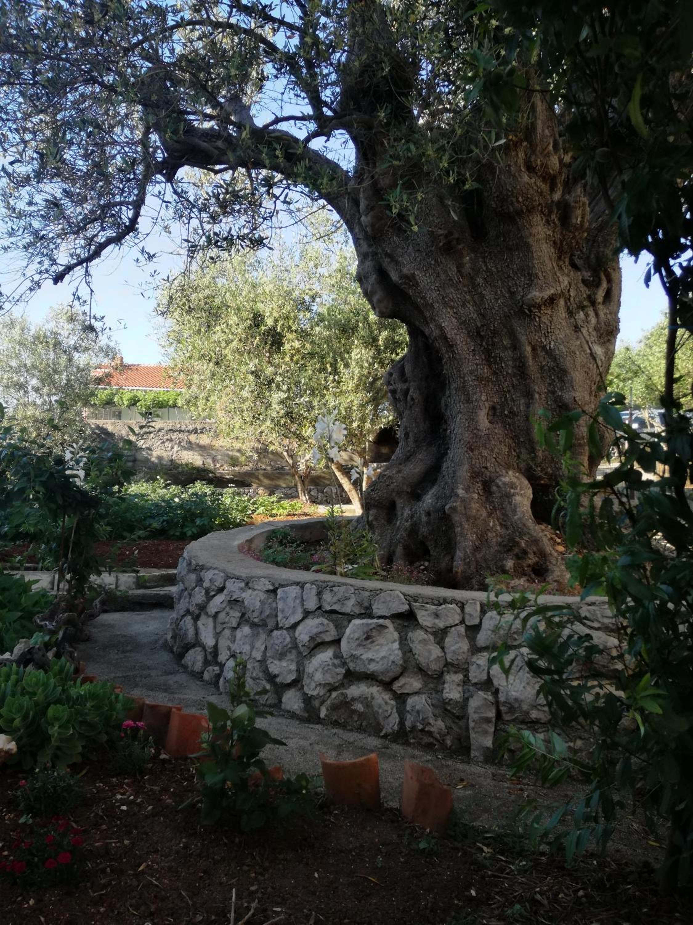 Photo 12