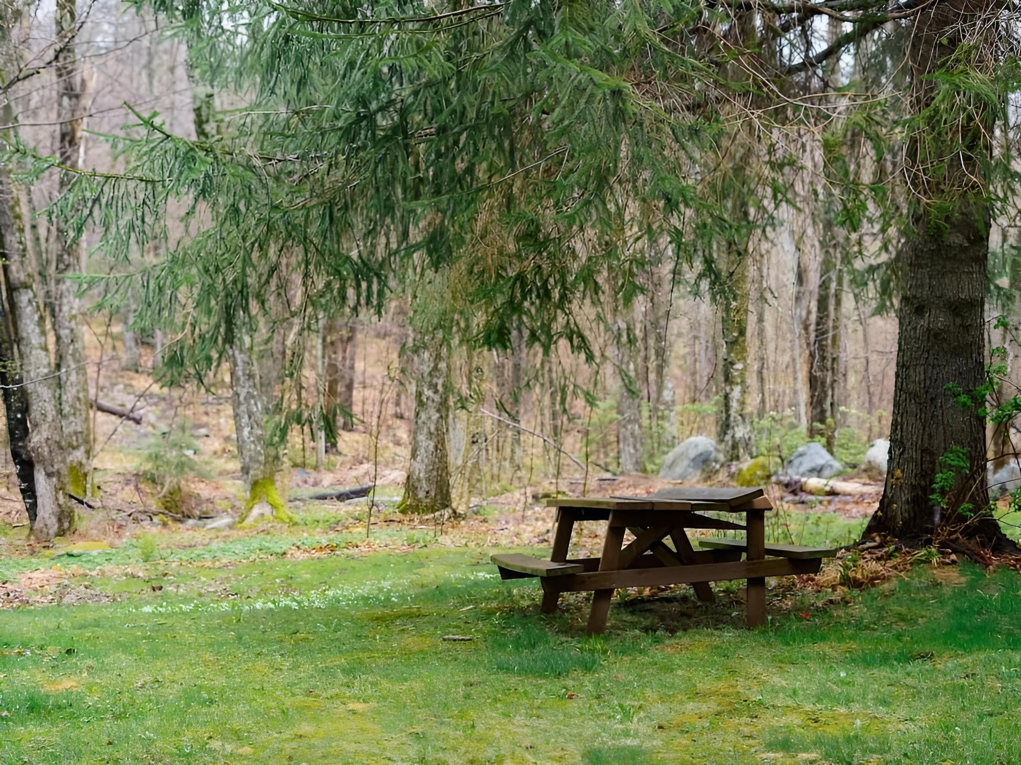 Killington Vacations - Edgemont C3 - Property Image 1