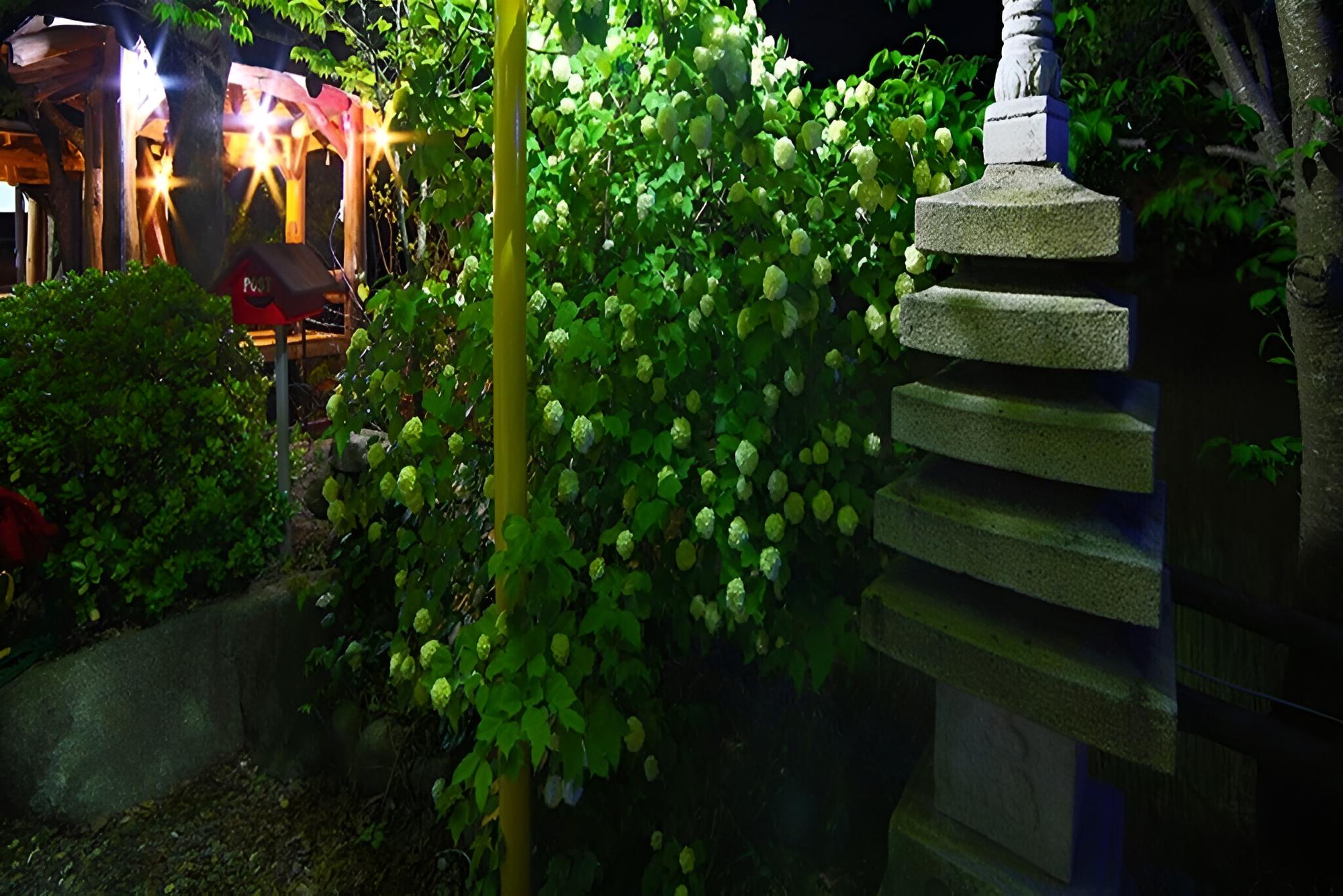 Photo 33