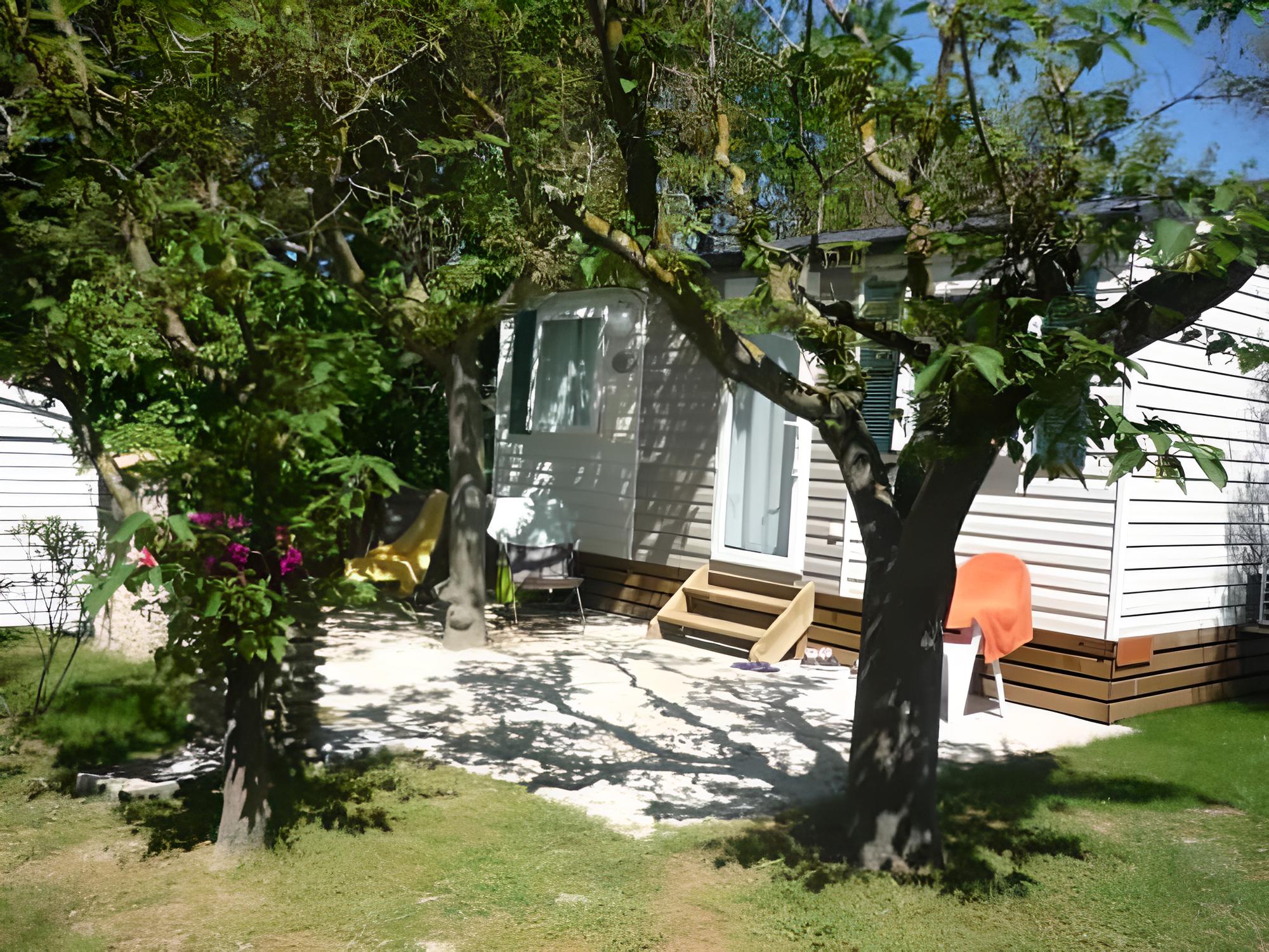 Camping L'Olivier