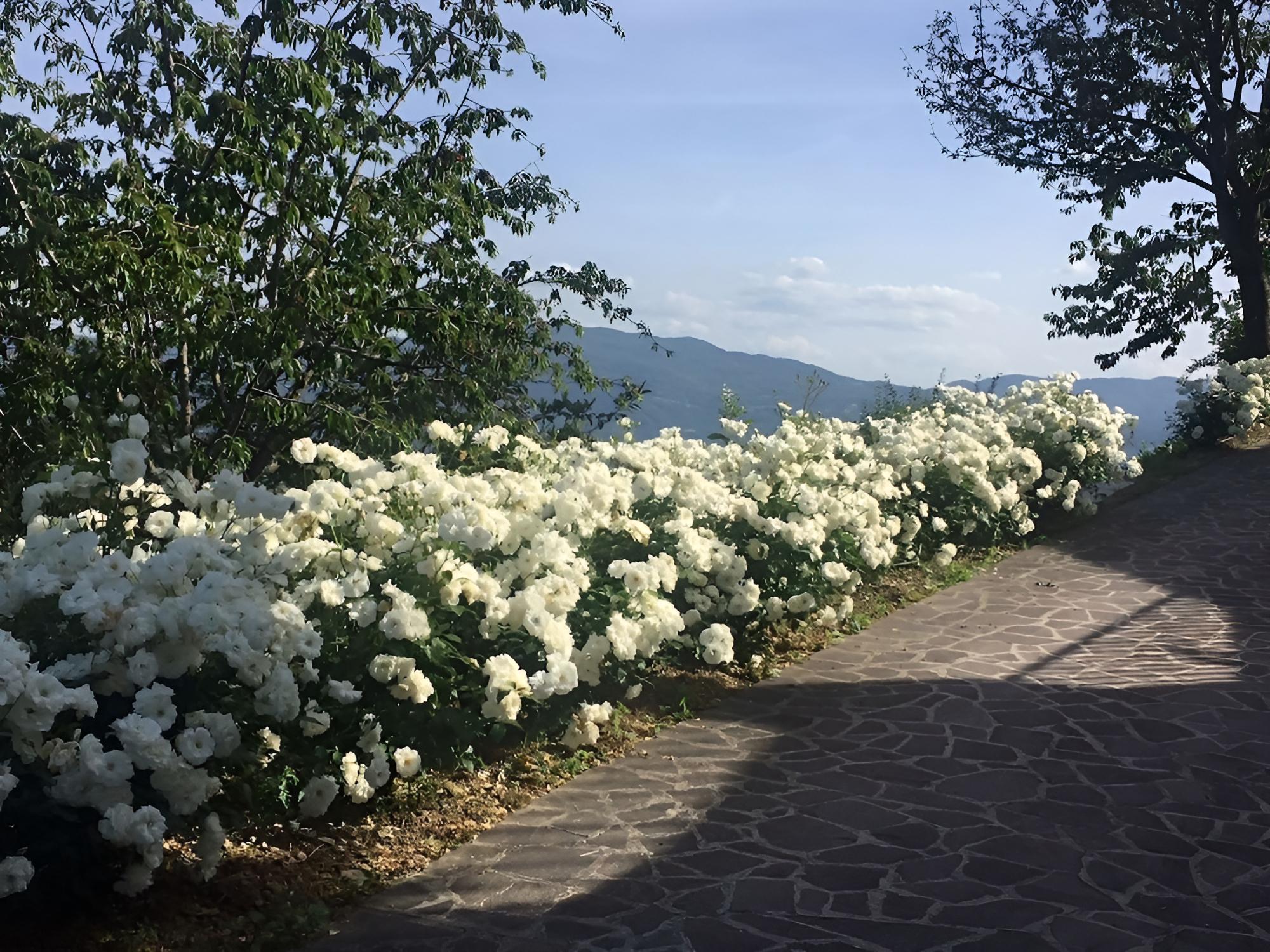 Villette in Mugello