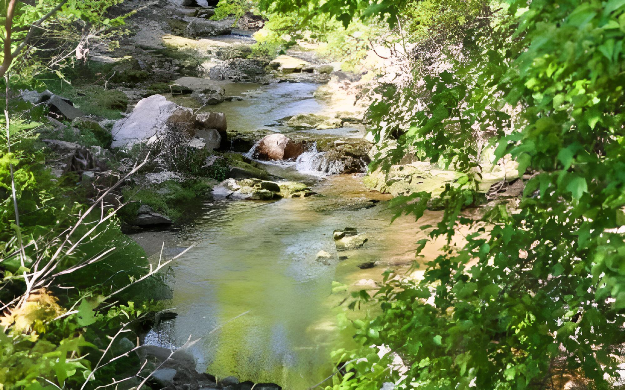 Photo 23