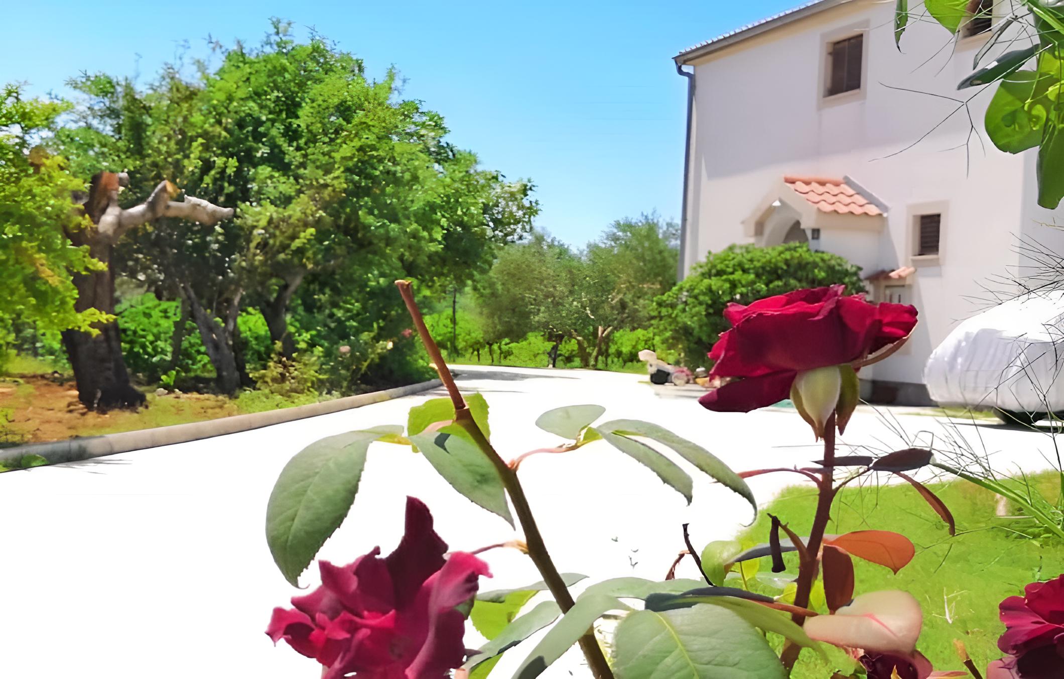 Ljilja - 250 m From Blue Flag Beach - A1