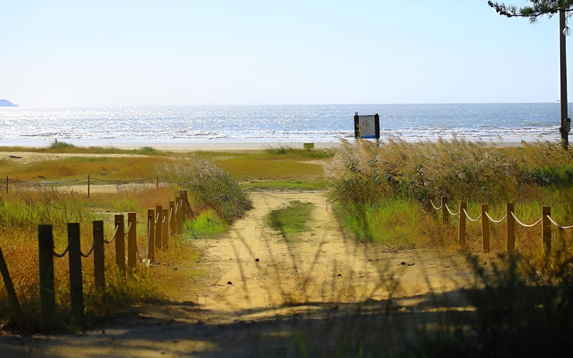 Photo 41