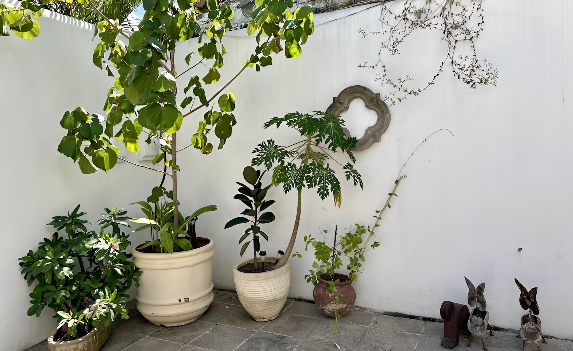 Casa Luana