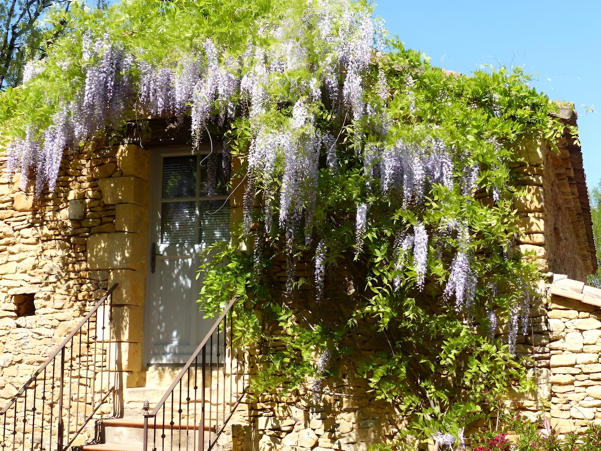 Chambres d'Hôtes Les Boudines