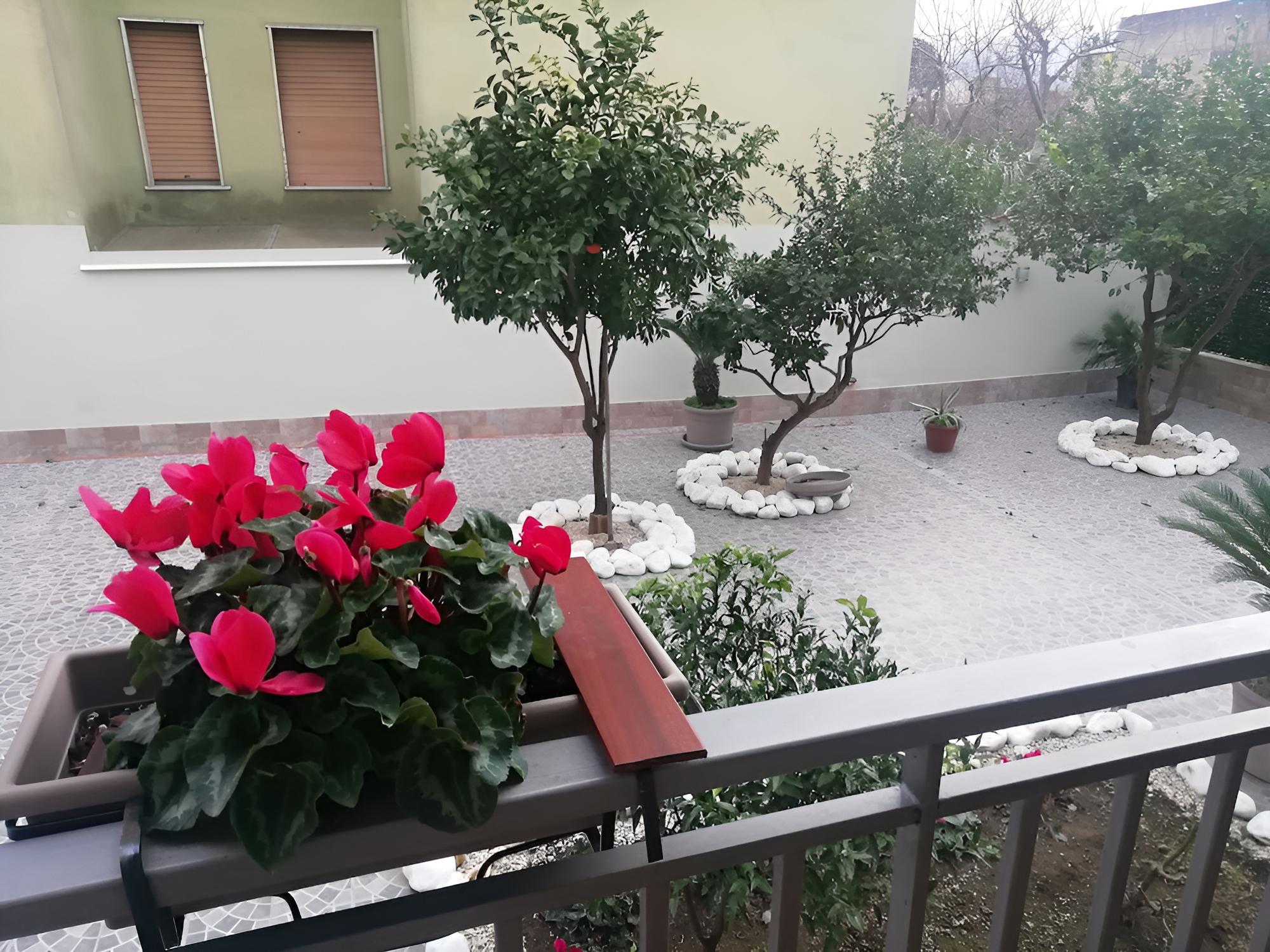 Fitta Chambre Mavì view 4