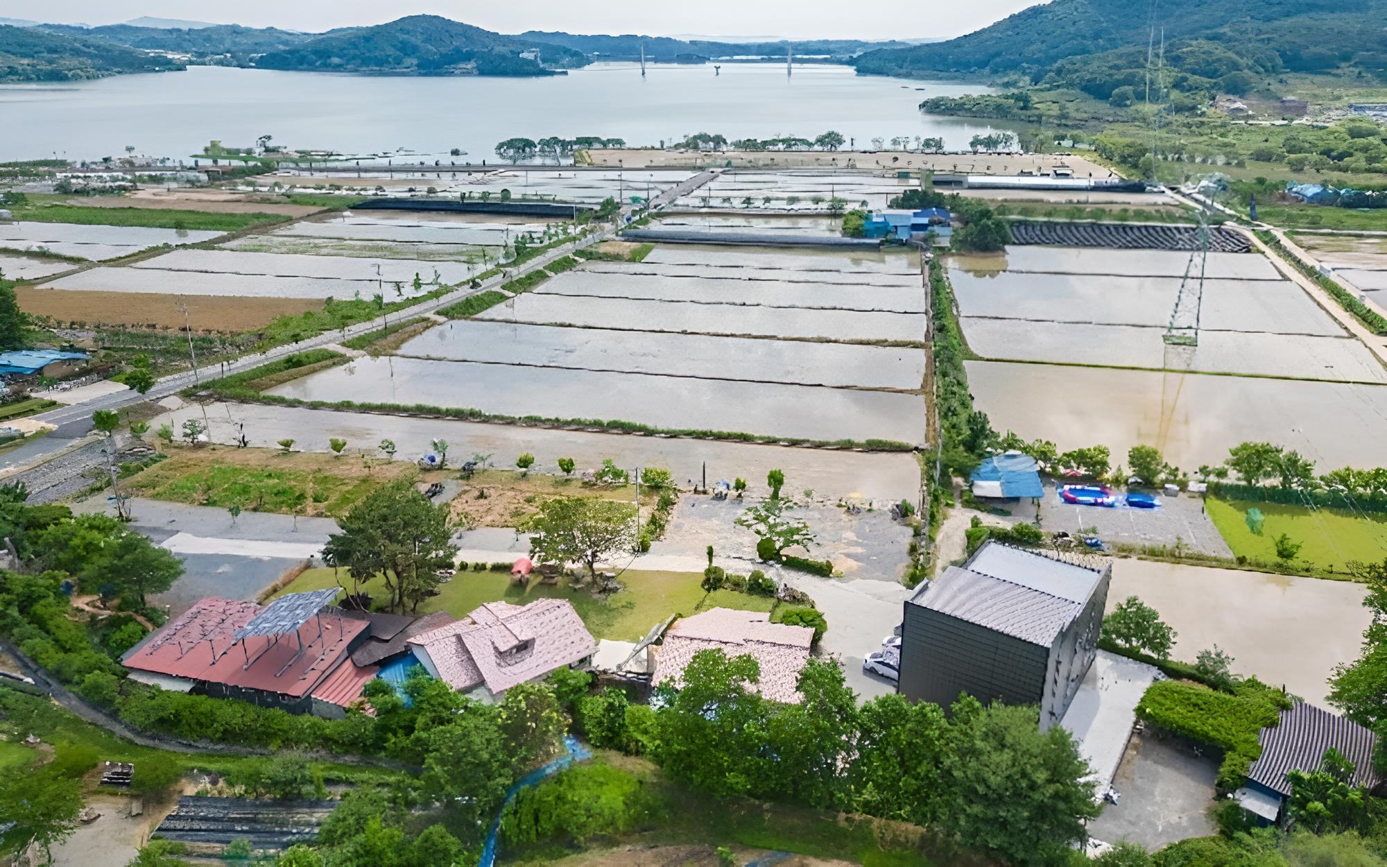 Nonsan Gyebaek Shuimtoe Camping Pension
