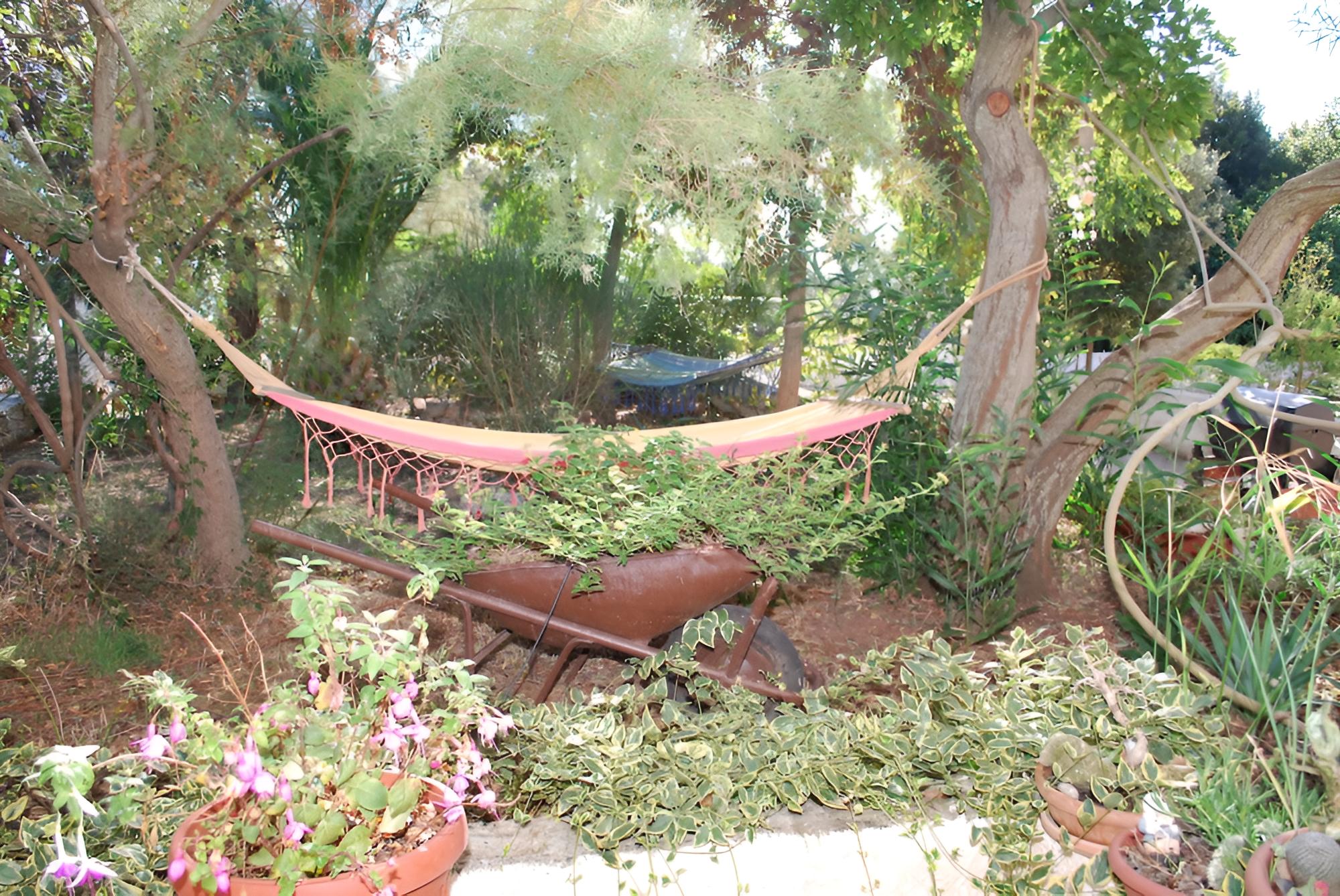 B&B Macchia Mediterranea
