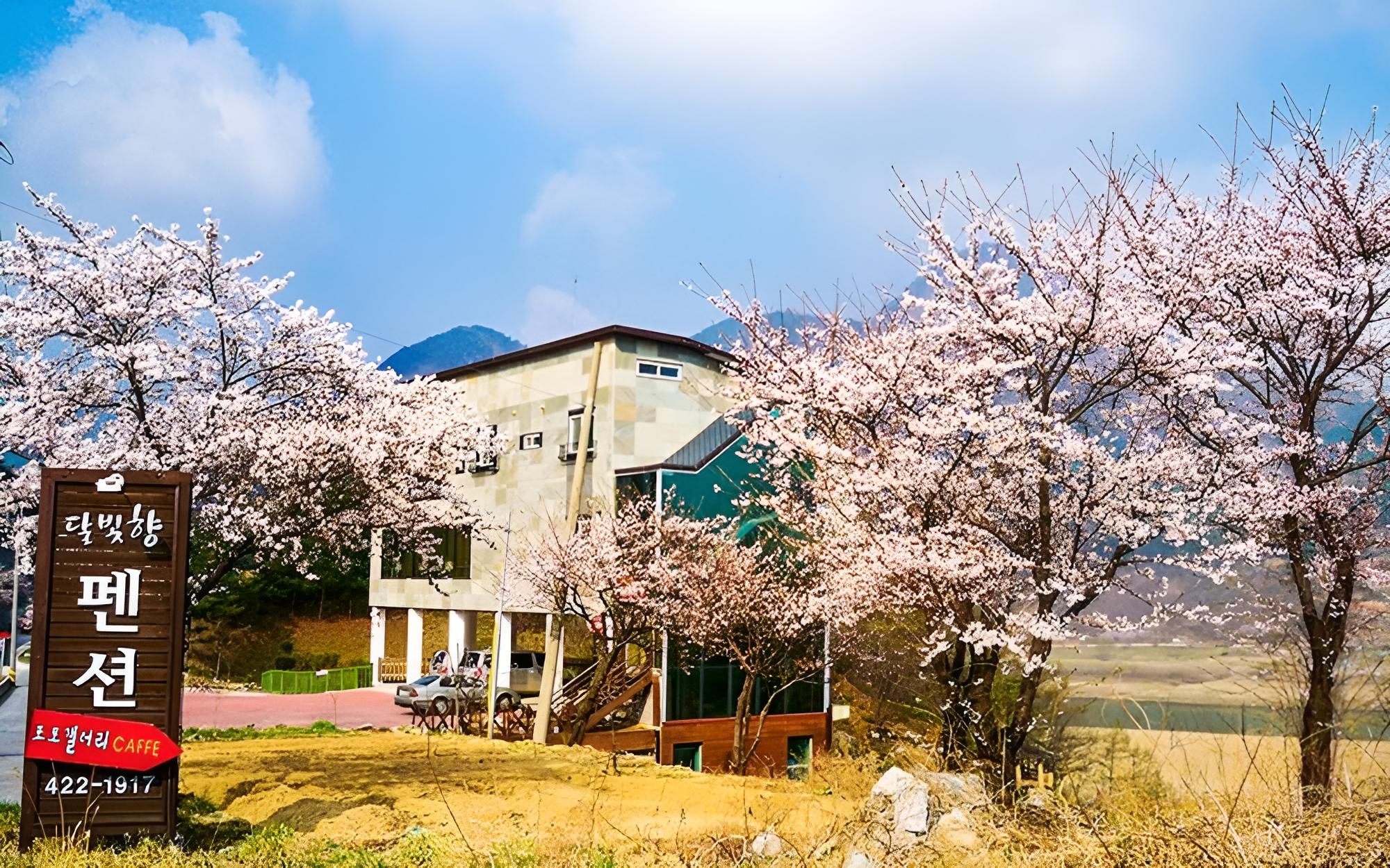 Danyang Dalbityang Pension