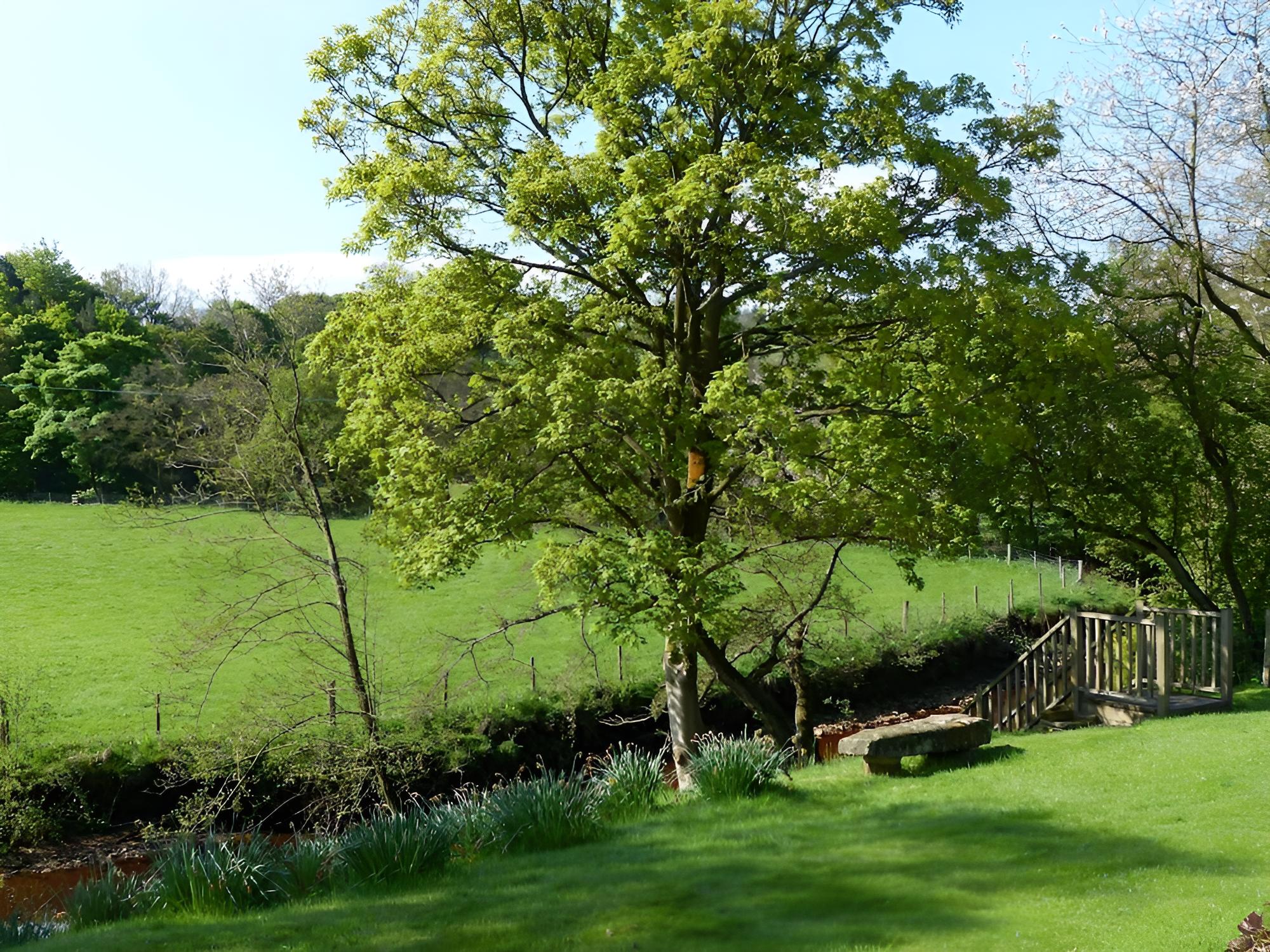 Millbrook B&B