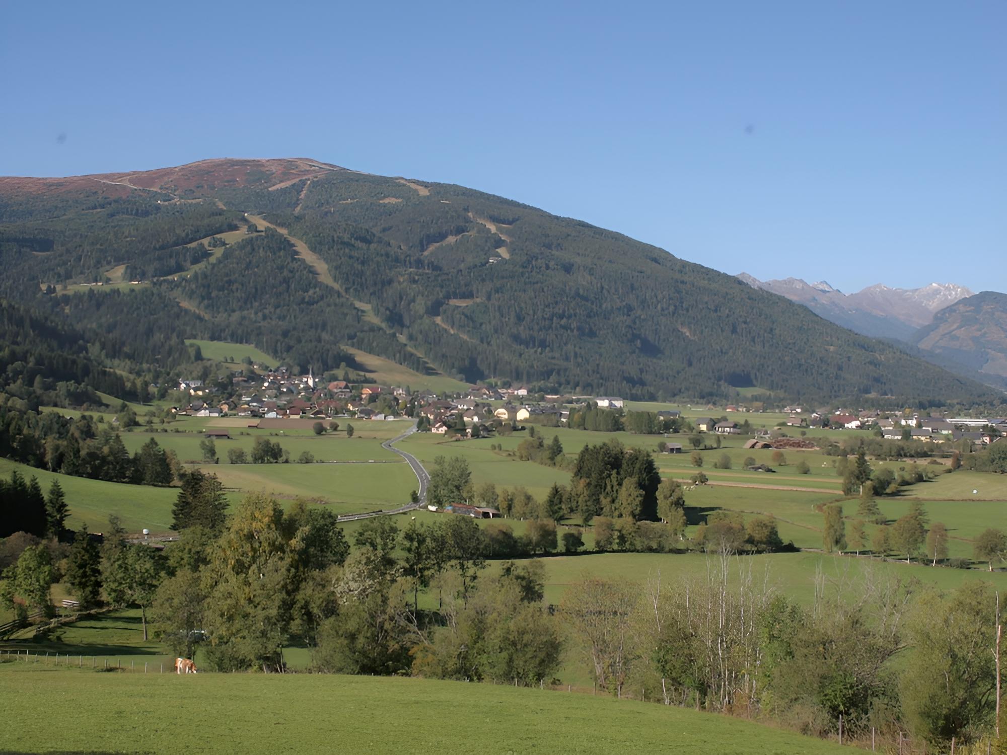 Photo 31