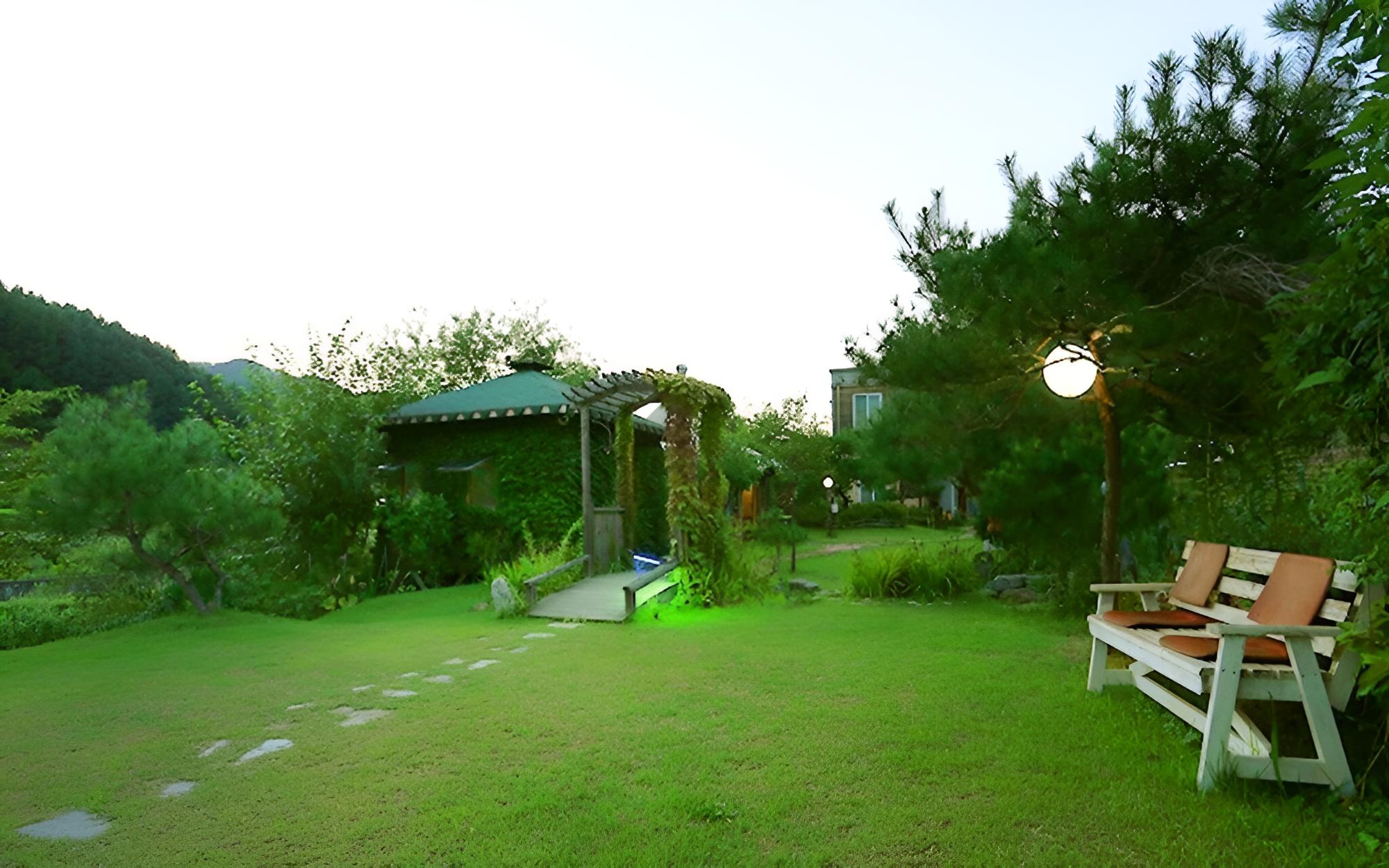 Photo 8