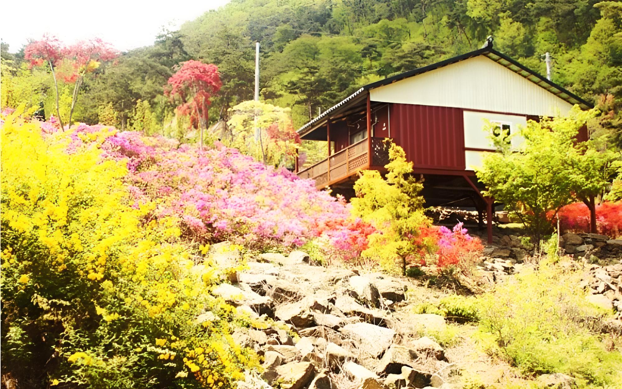 Chengyang Goun Healing Glamping