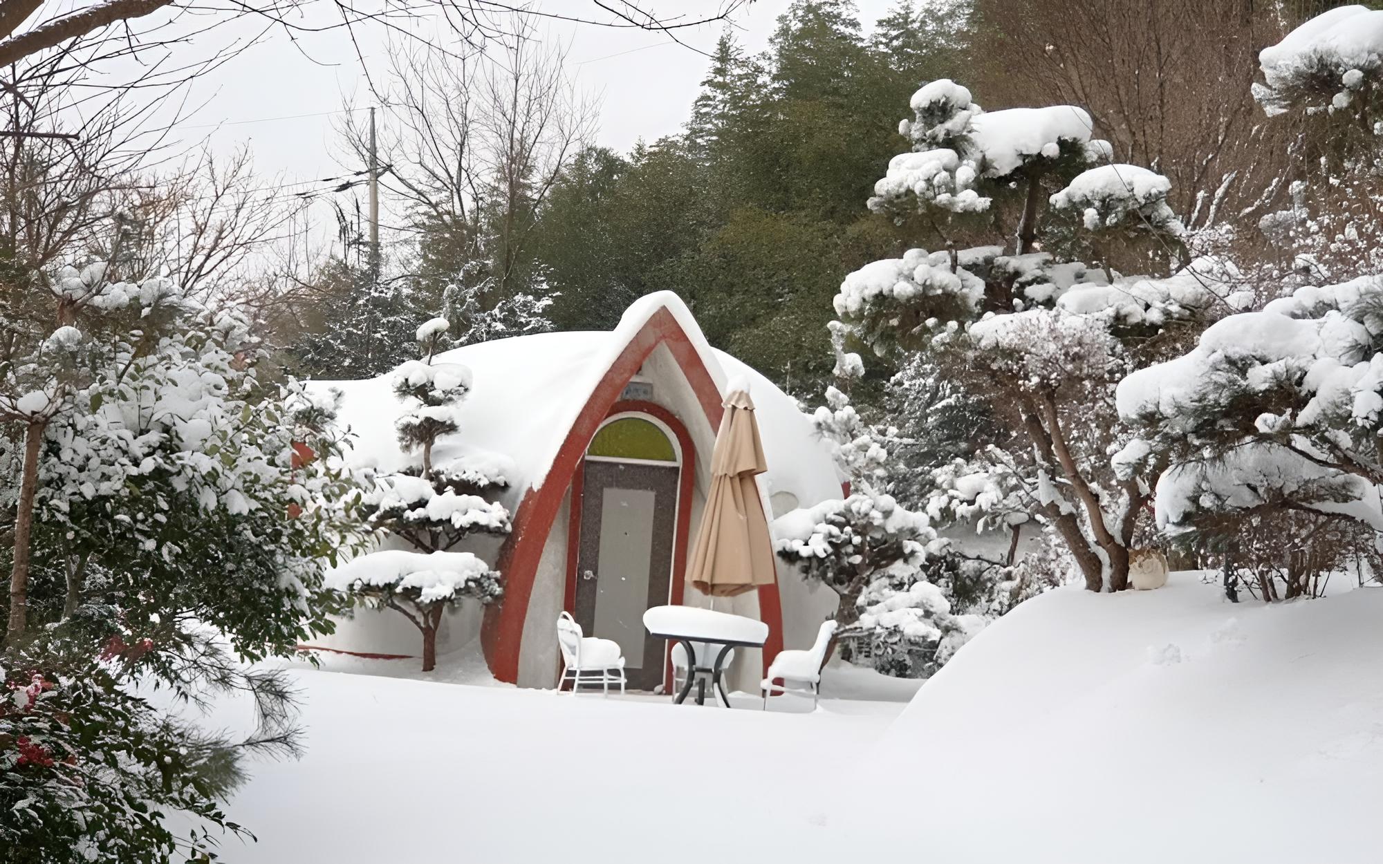 Damyang Firefly Pension