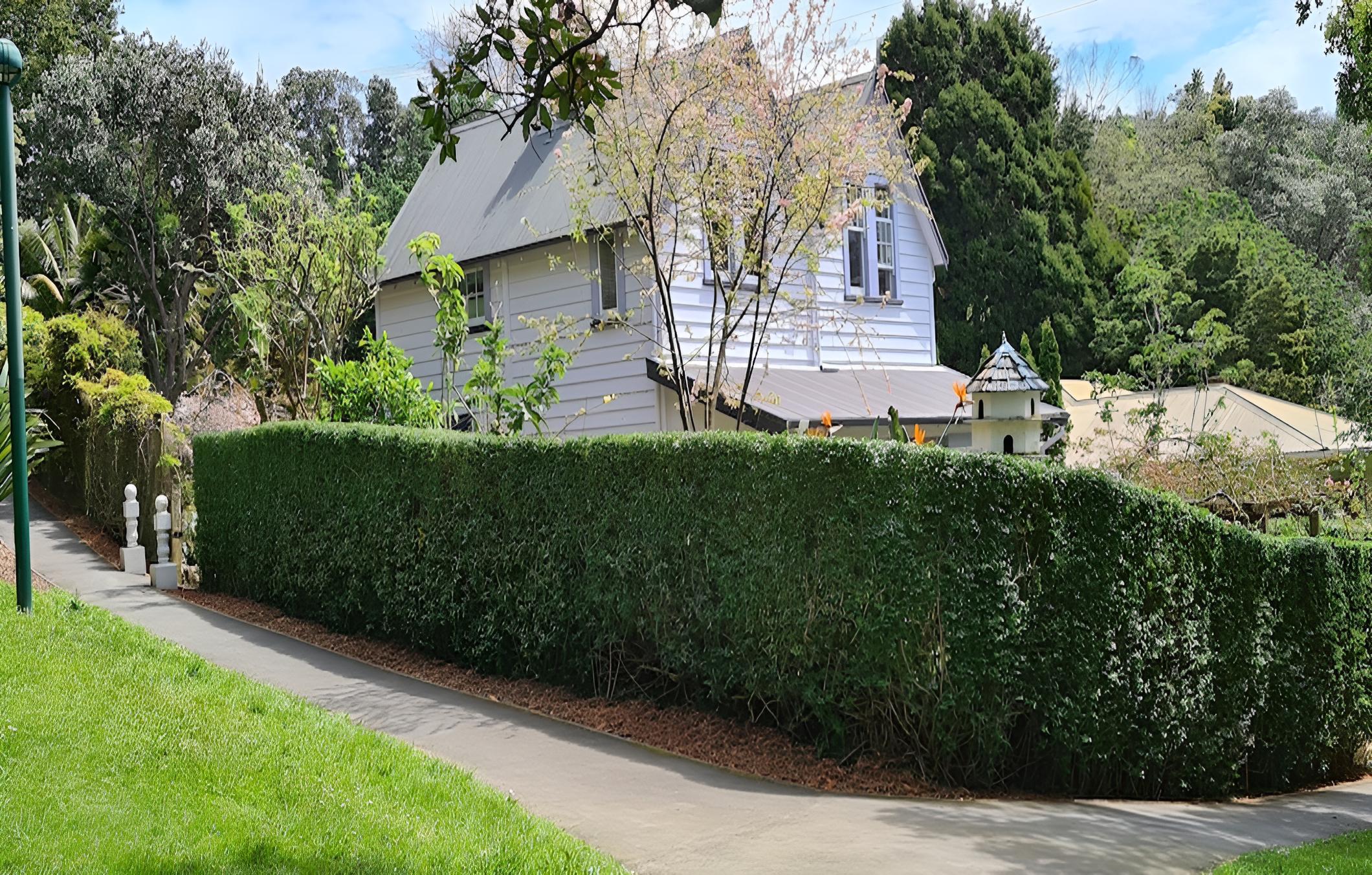 Photo 42