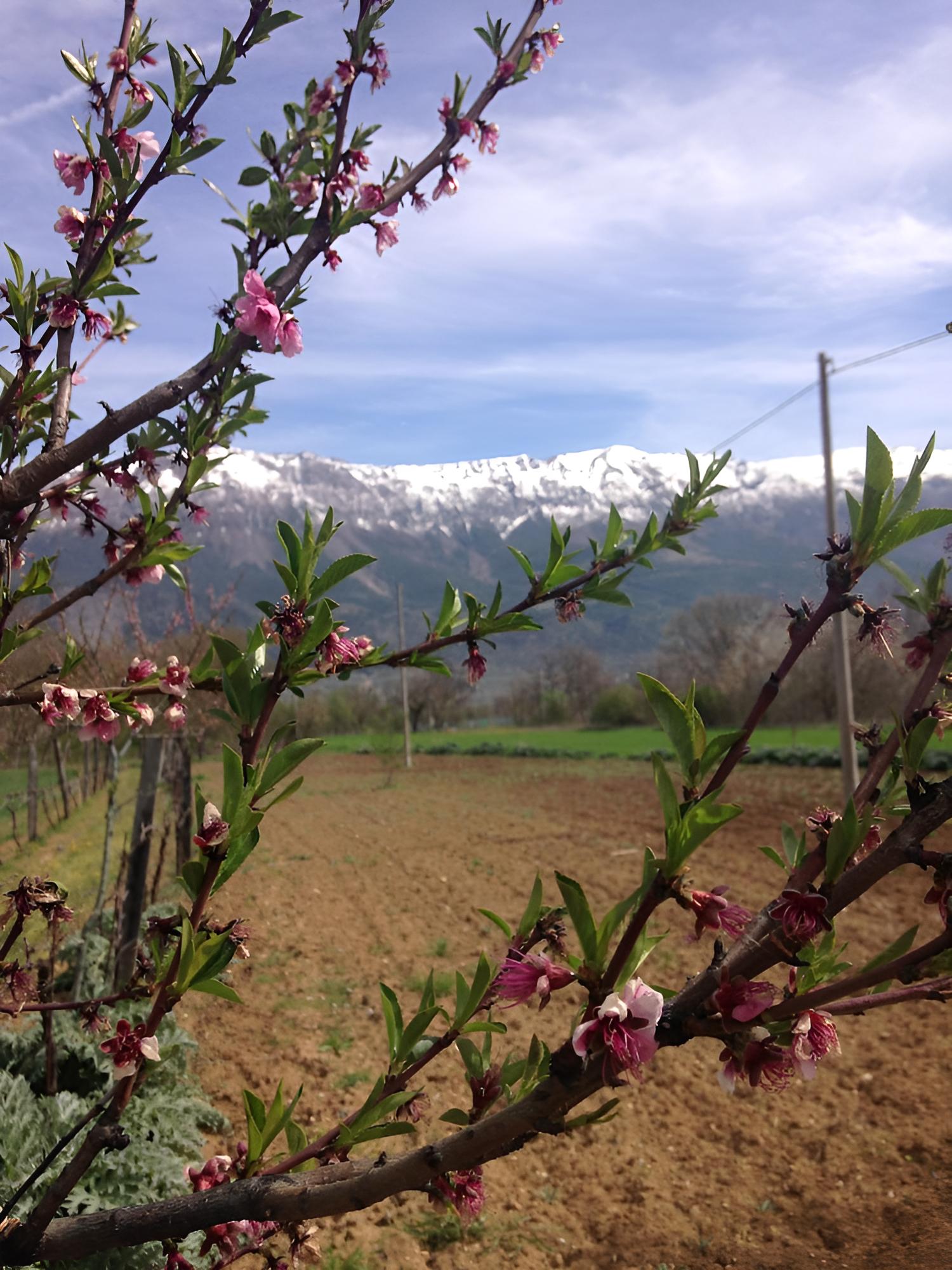 L'Orto di Pentima