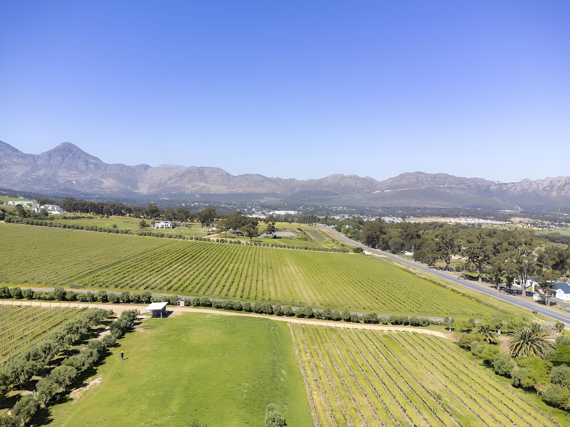 Vineyard Manor @ 13 Vines view 2