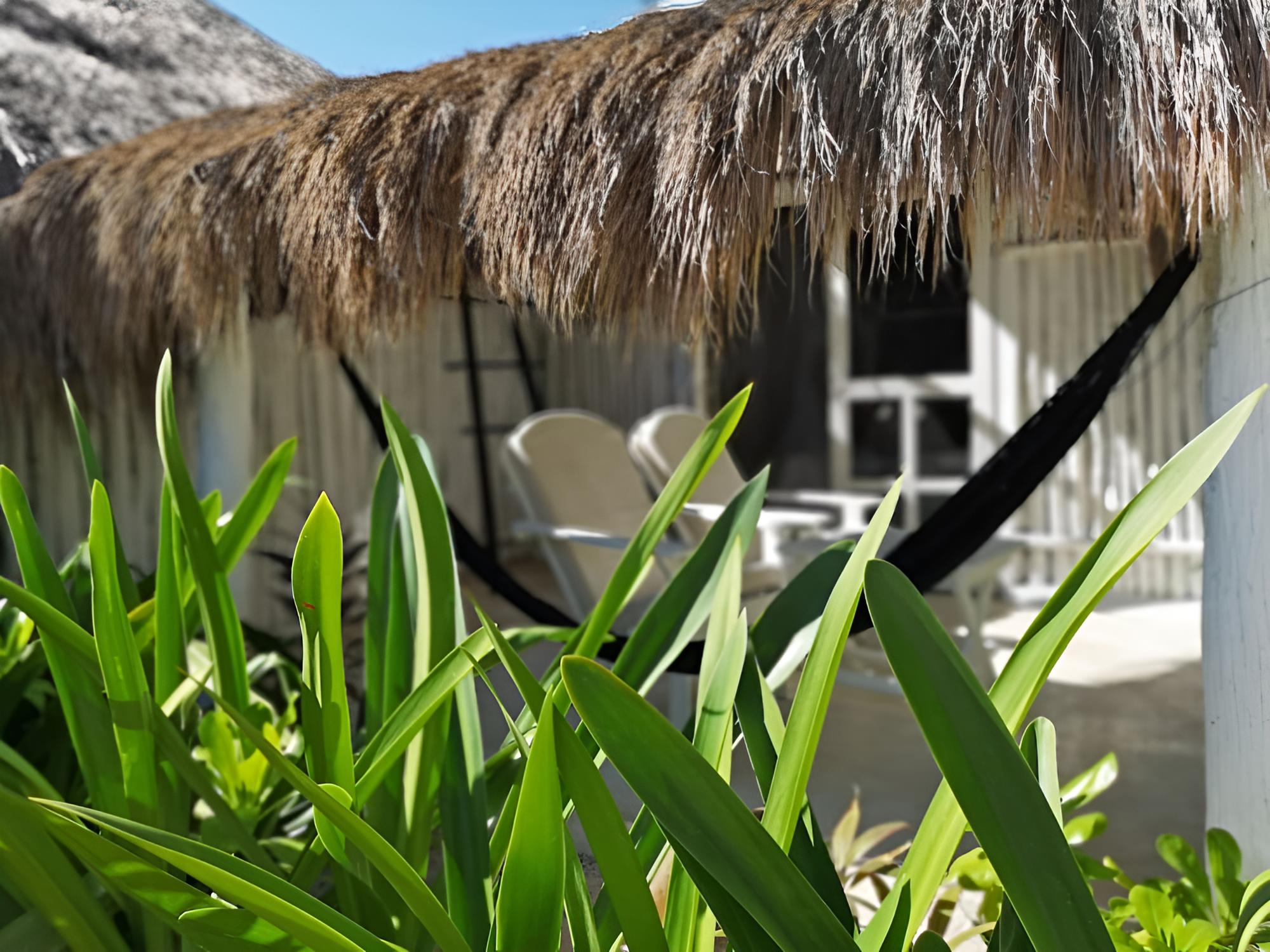 Coco Tulum Hotel - Property Image 38