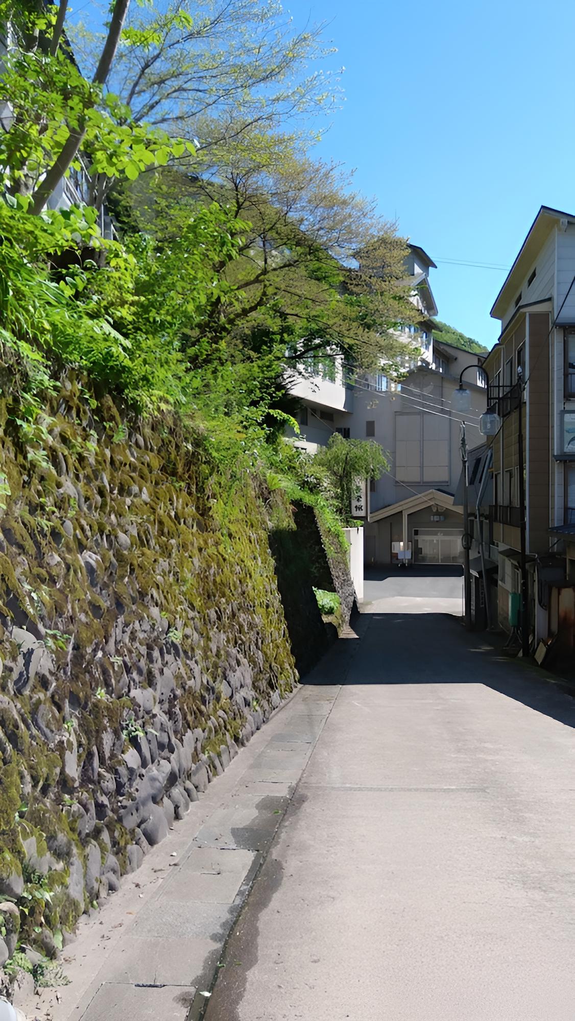 Oshuku Onsen Choueikan