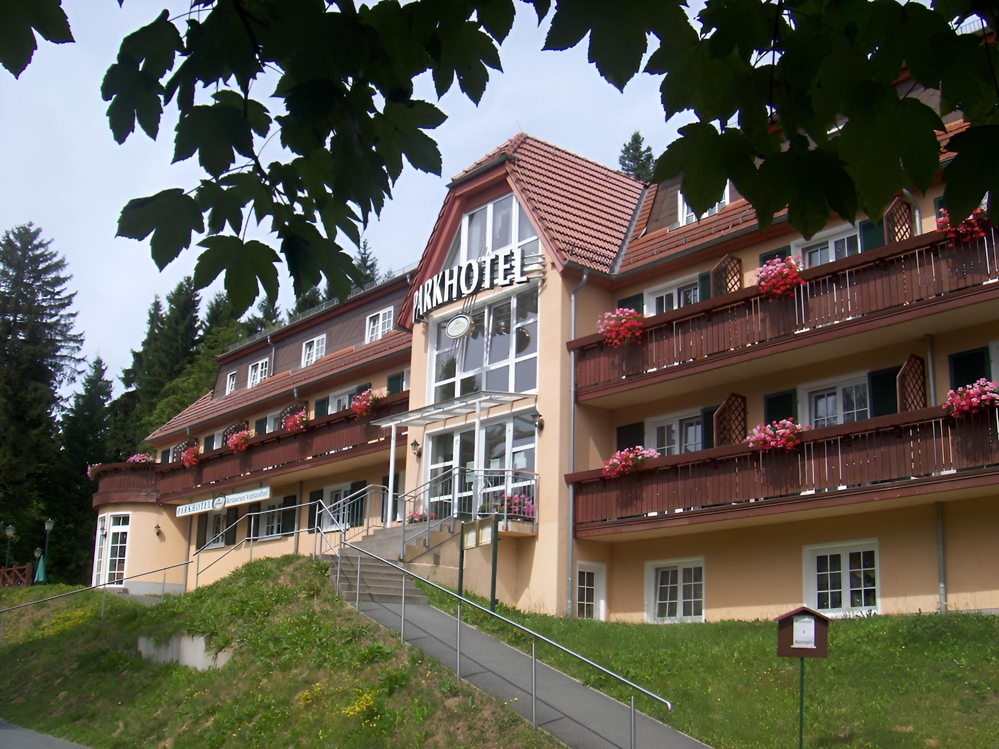 Parkhotel Bad Brambach - Property Image 11