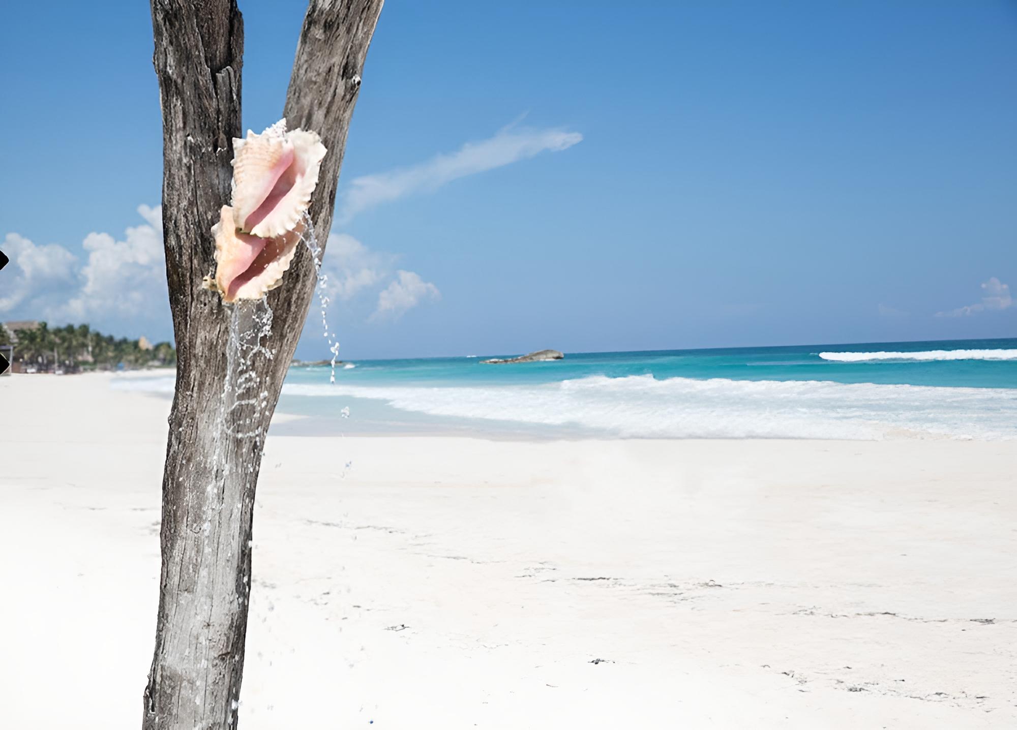 Coco Tulum Hotel - Property Image 3