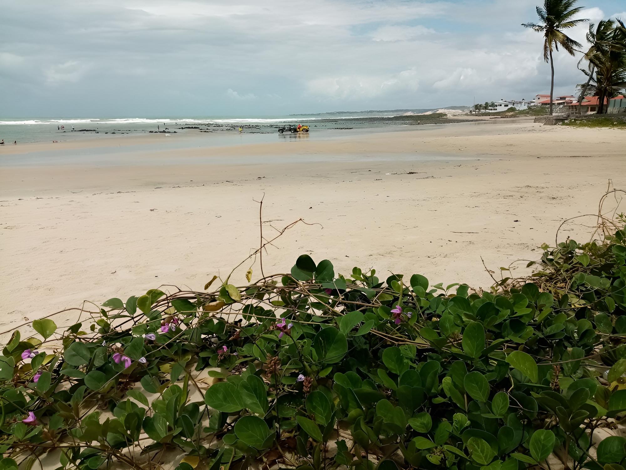 Pousada Ilha Verde