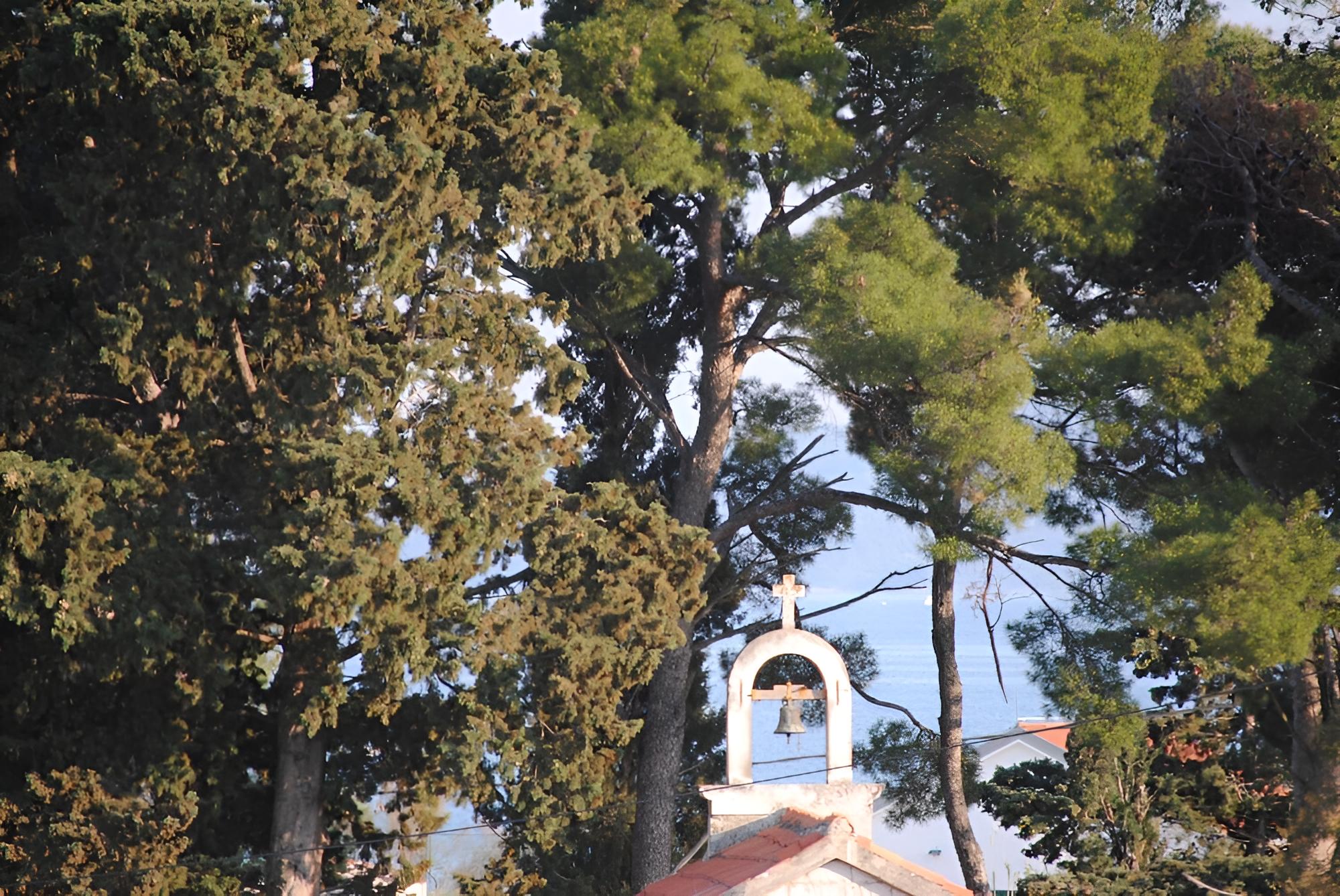 Photo 28