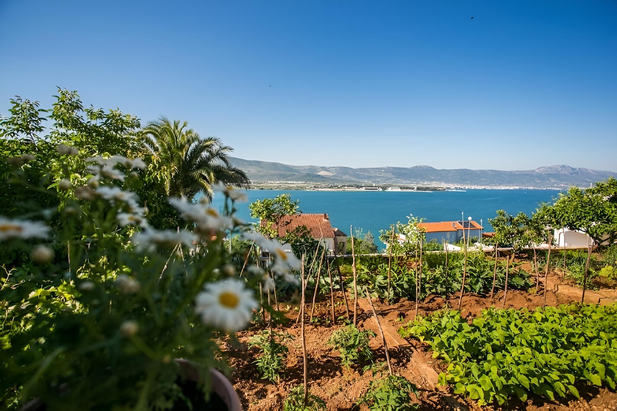 Marija - 60 m From Beach - A2