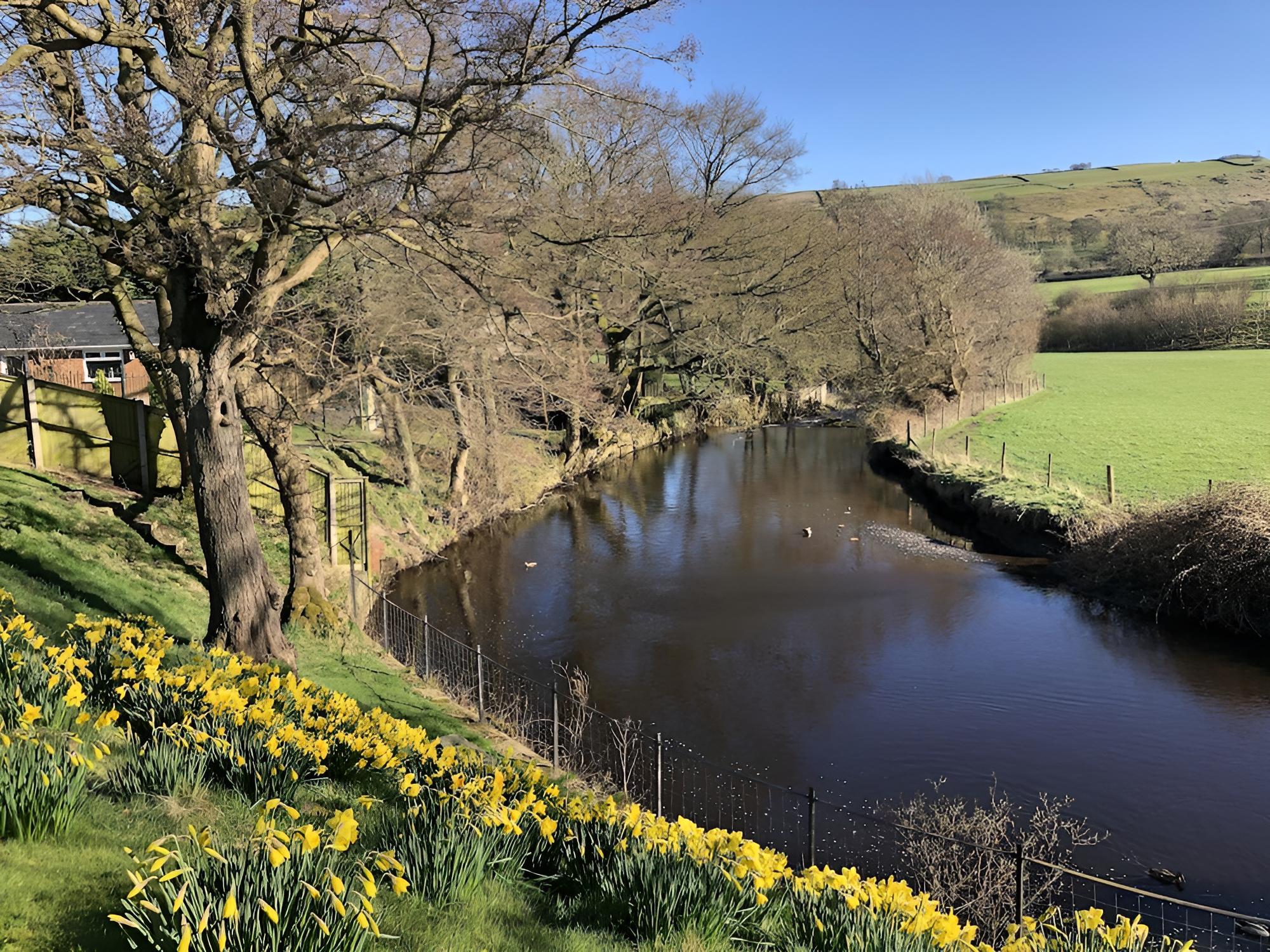 Millbrook B&B