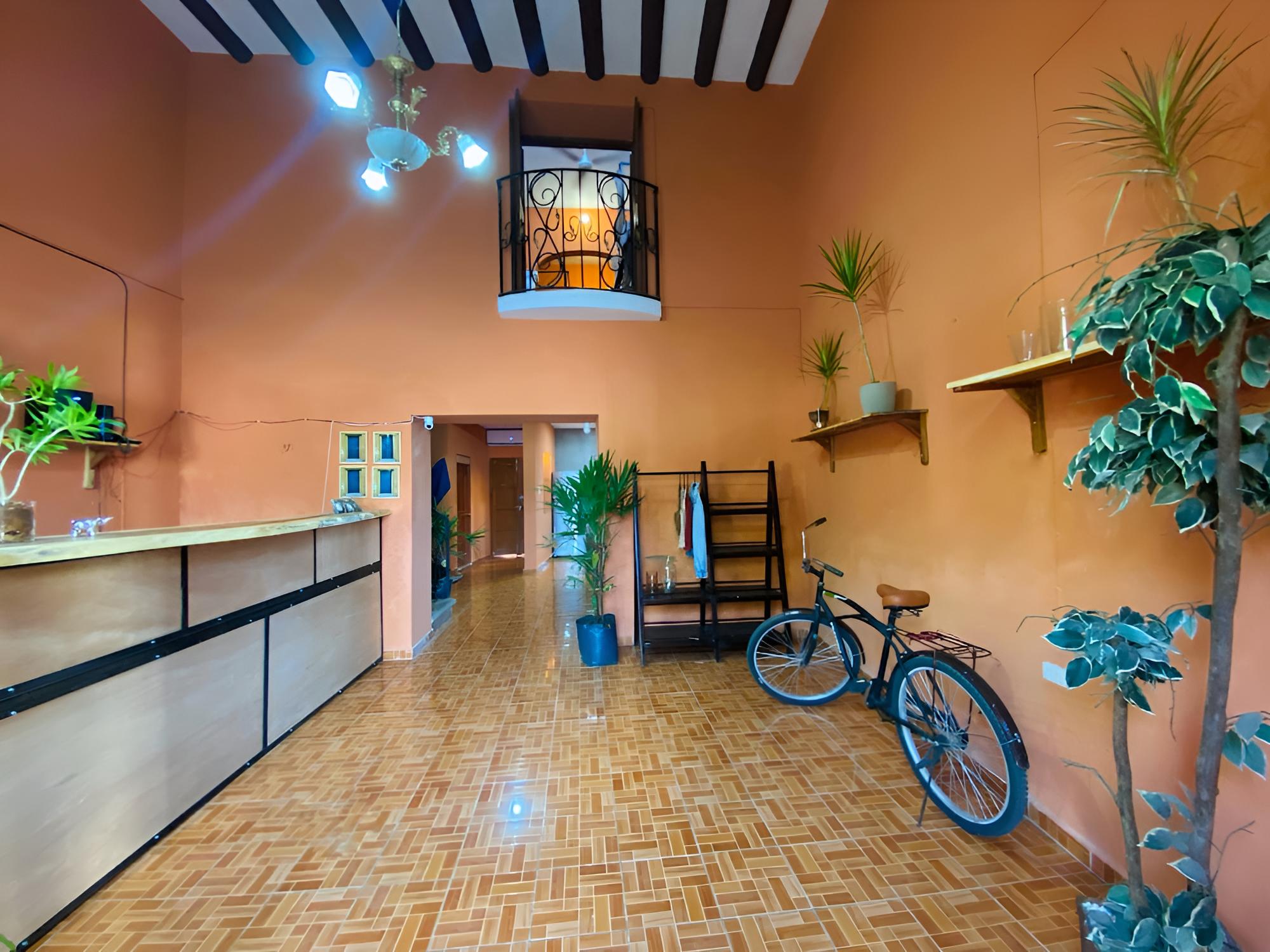 Alena Hostal
