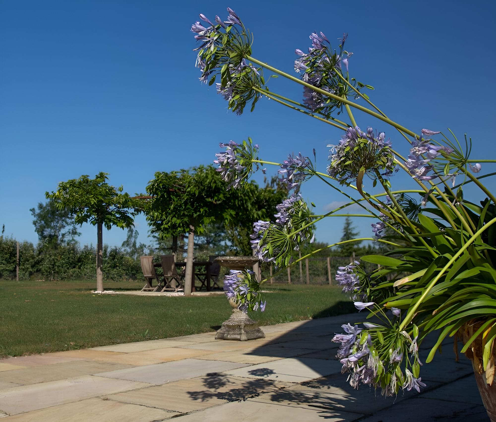 Moonlight Barn in Oxford view 2