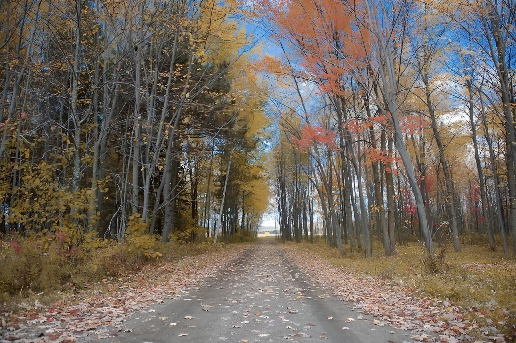 Gite O'bordeleau B&B, Billede 32