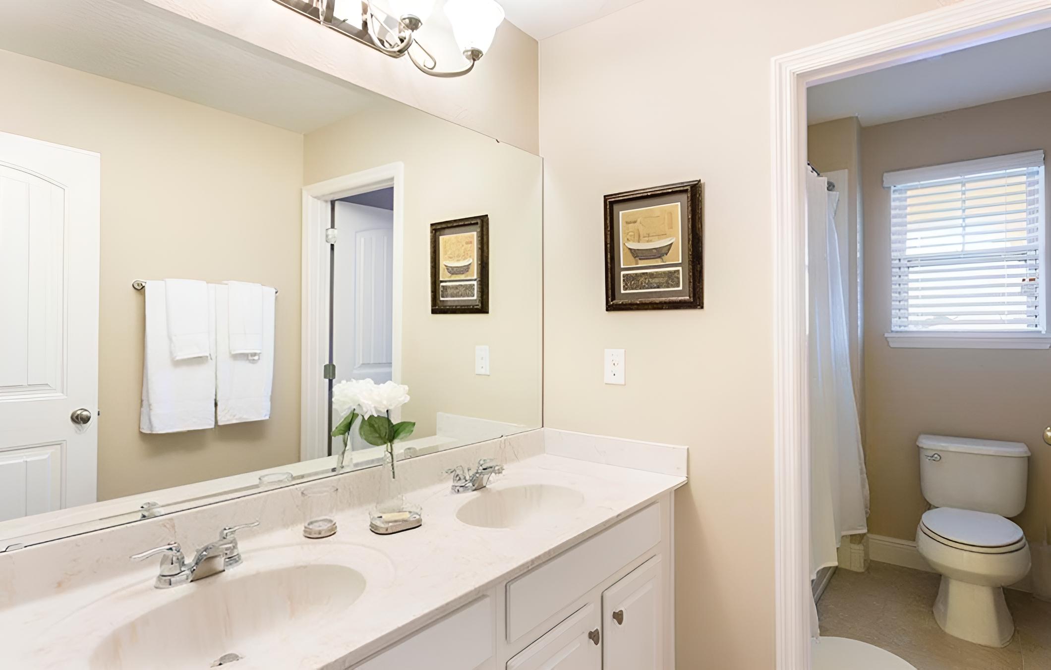 Solterra 4163 - Image 2