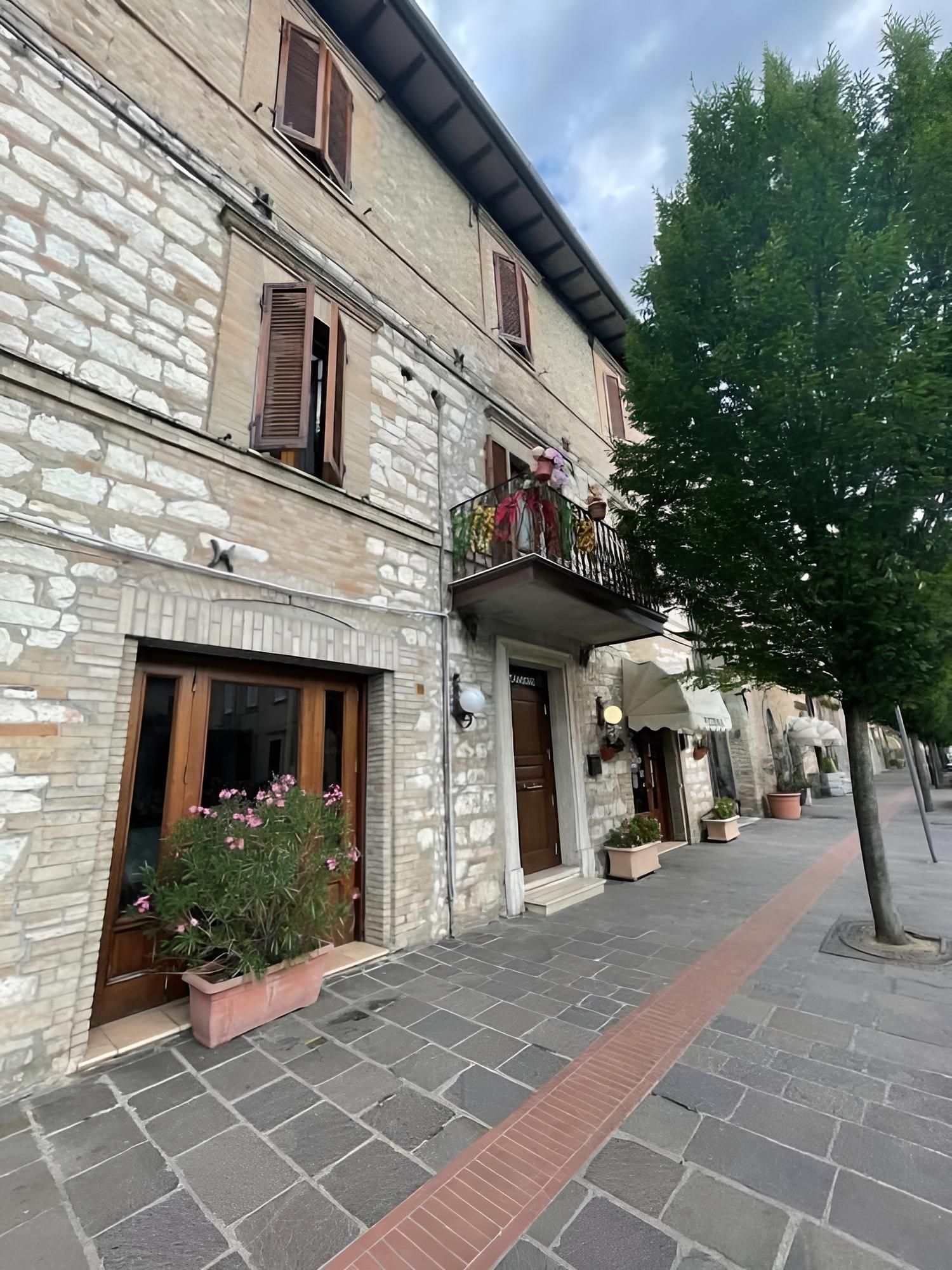 La terrazza dei ciliegi