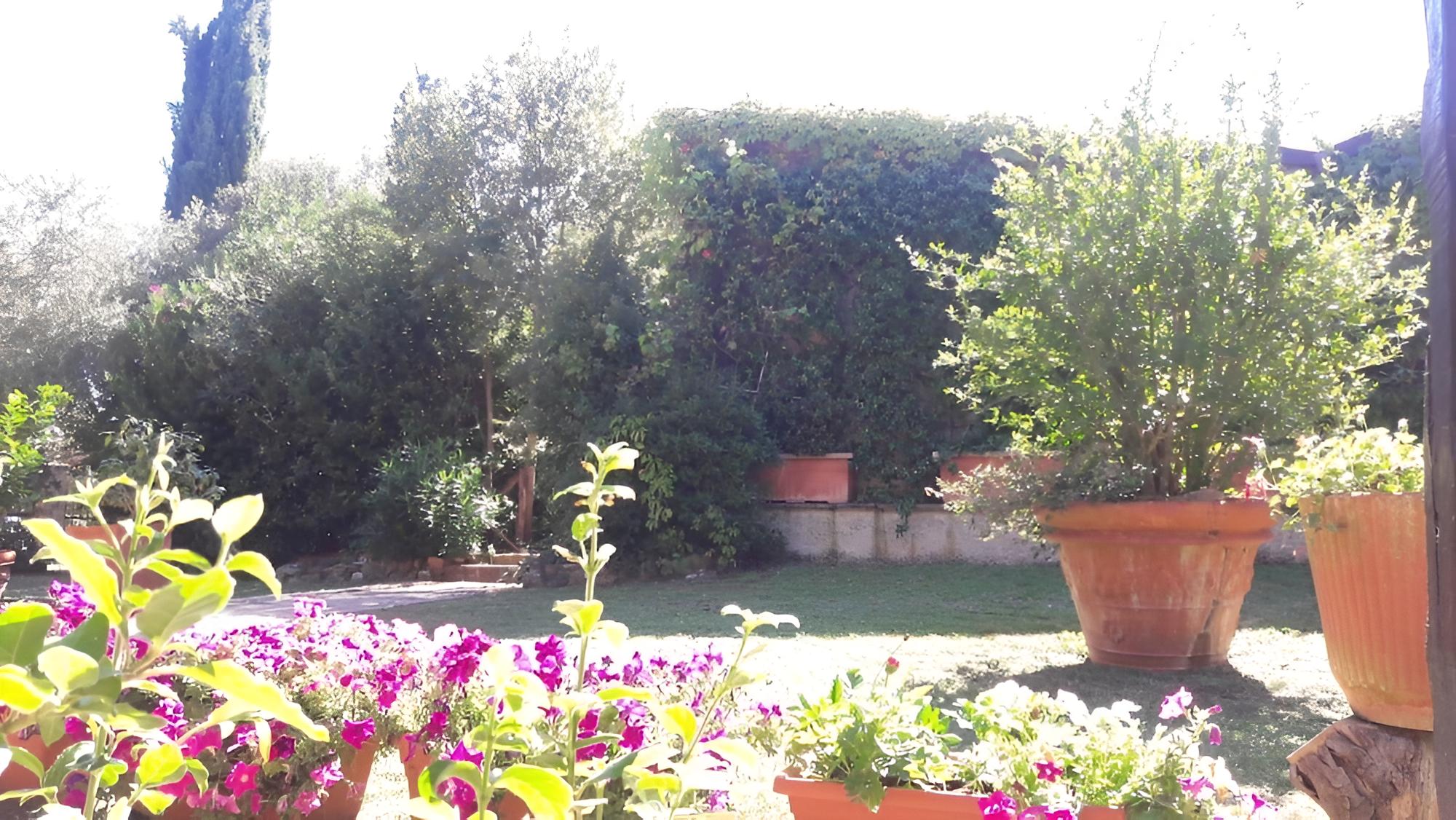 Photo 31