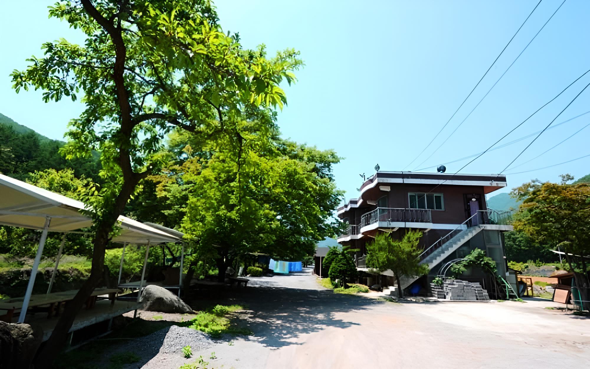 Photo 43