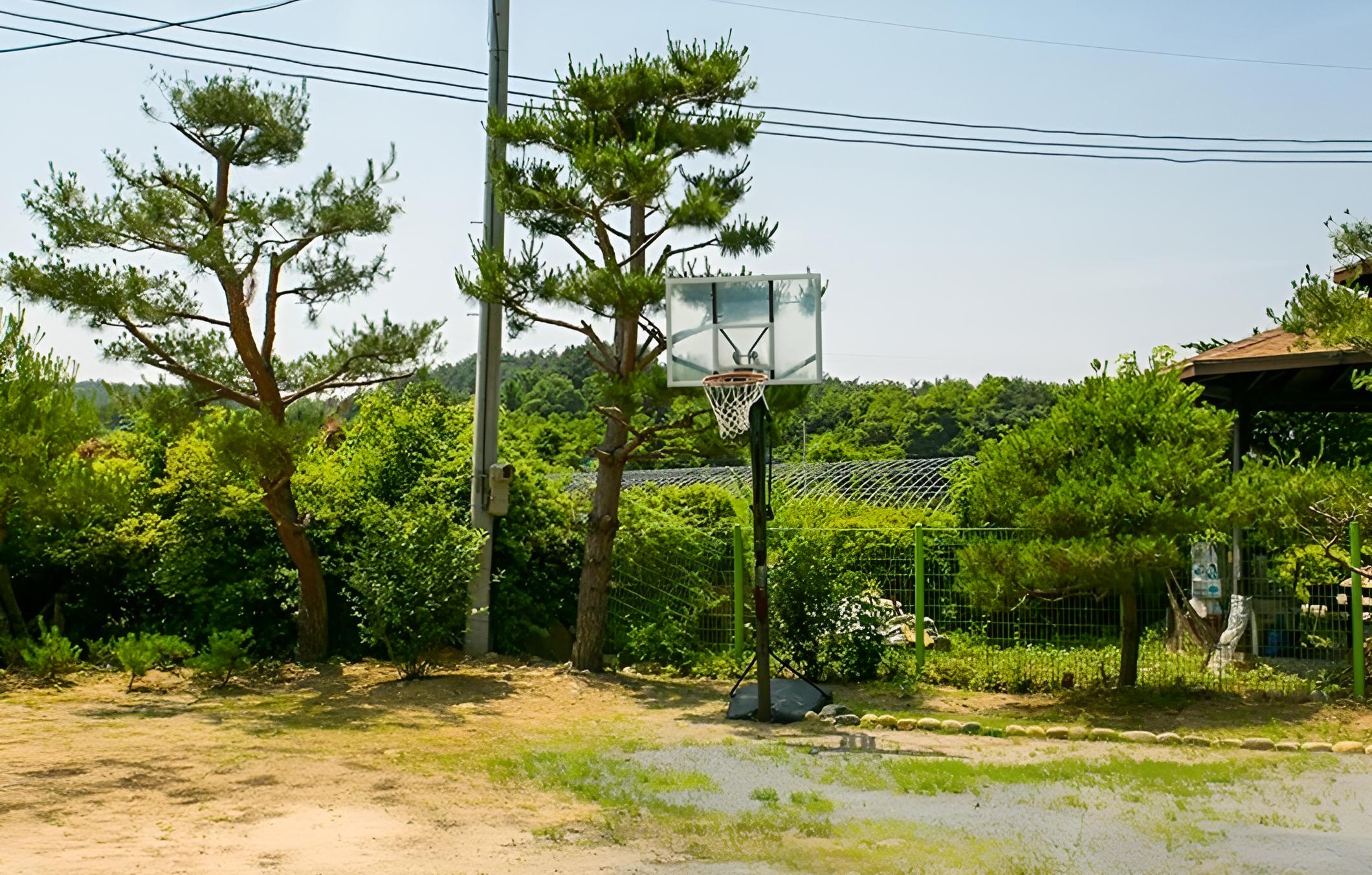Photo 46