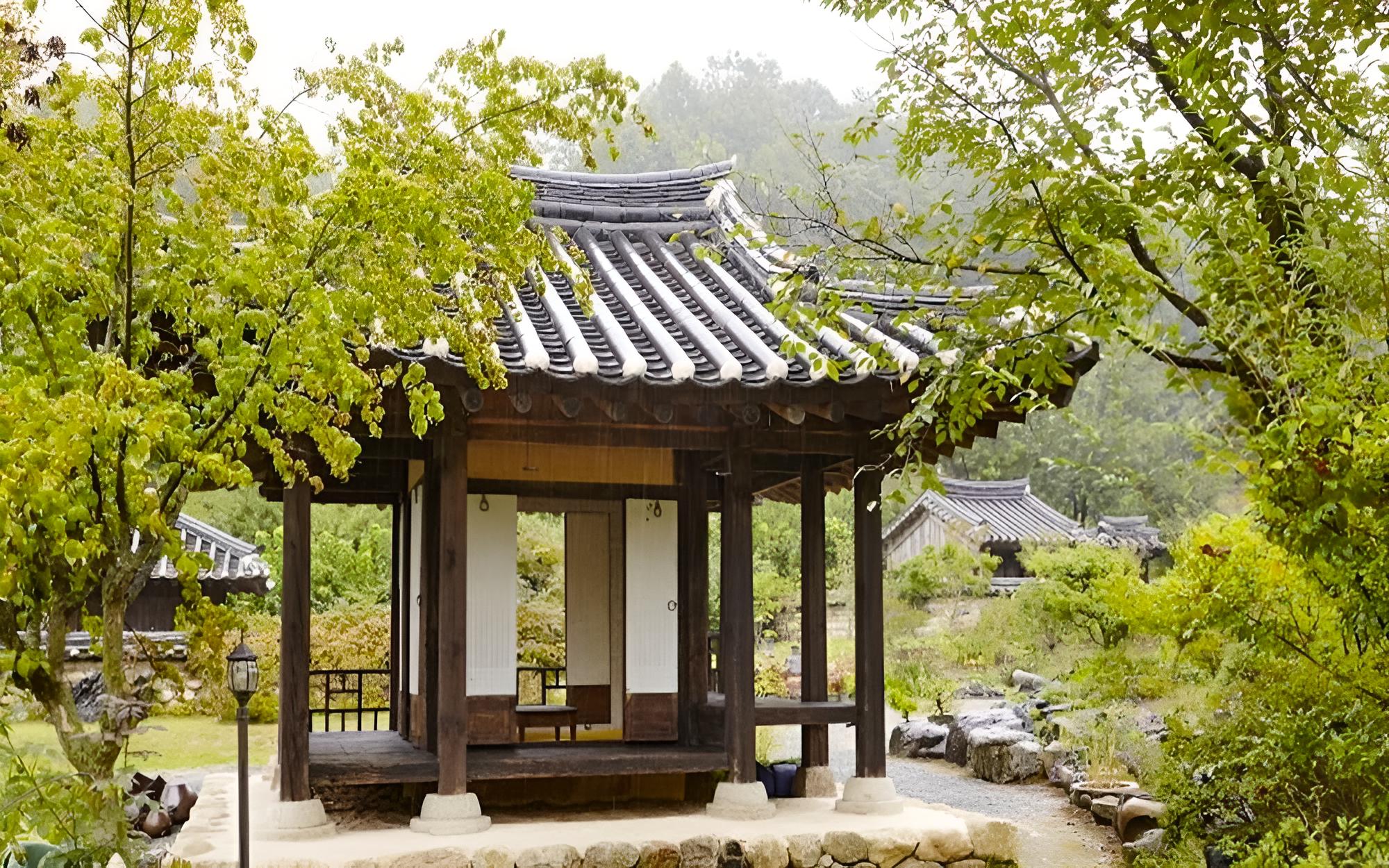 Chungju Wildflowers and Gotaengnadeuri