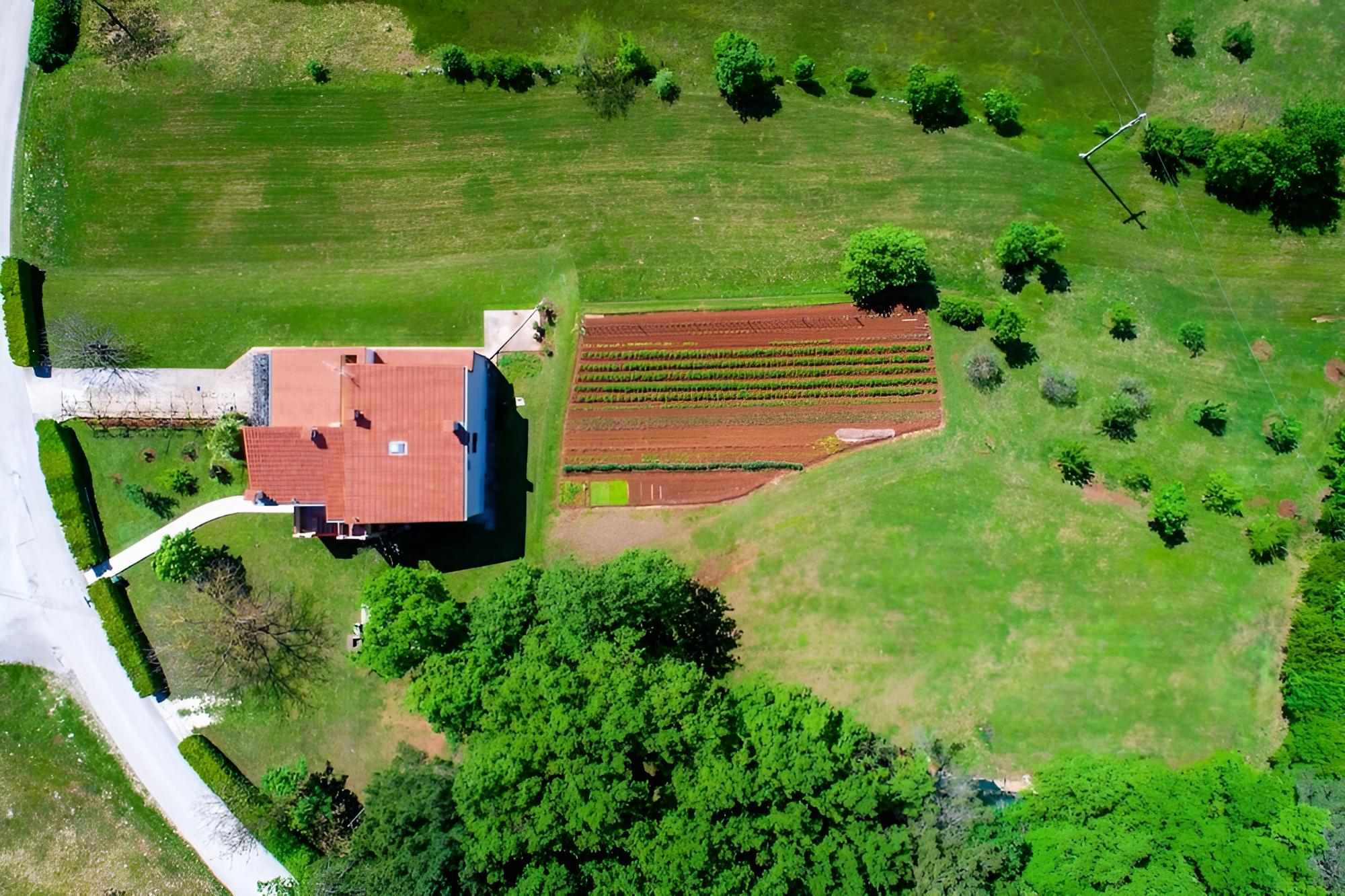 Bruno - Spacious Yard - A1