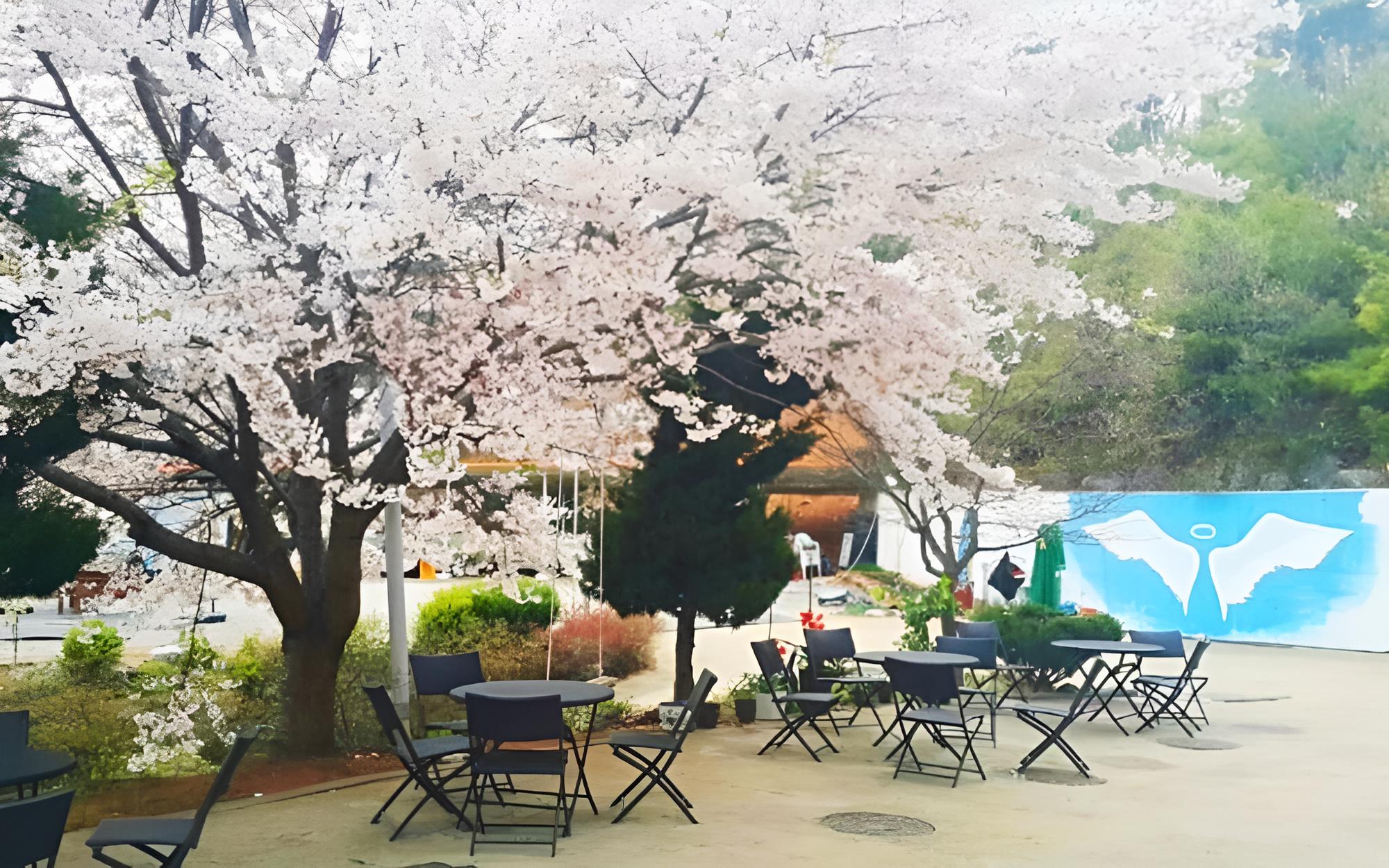Daebudo Supsok Pension