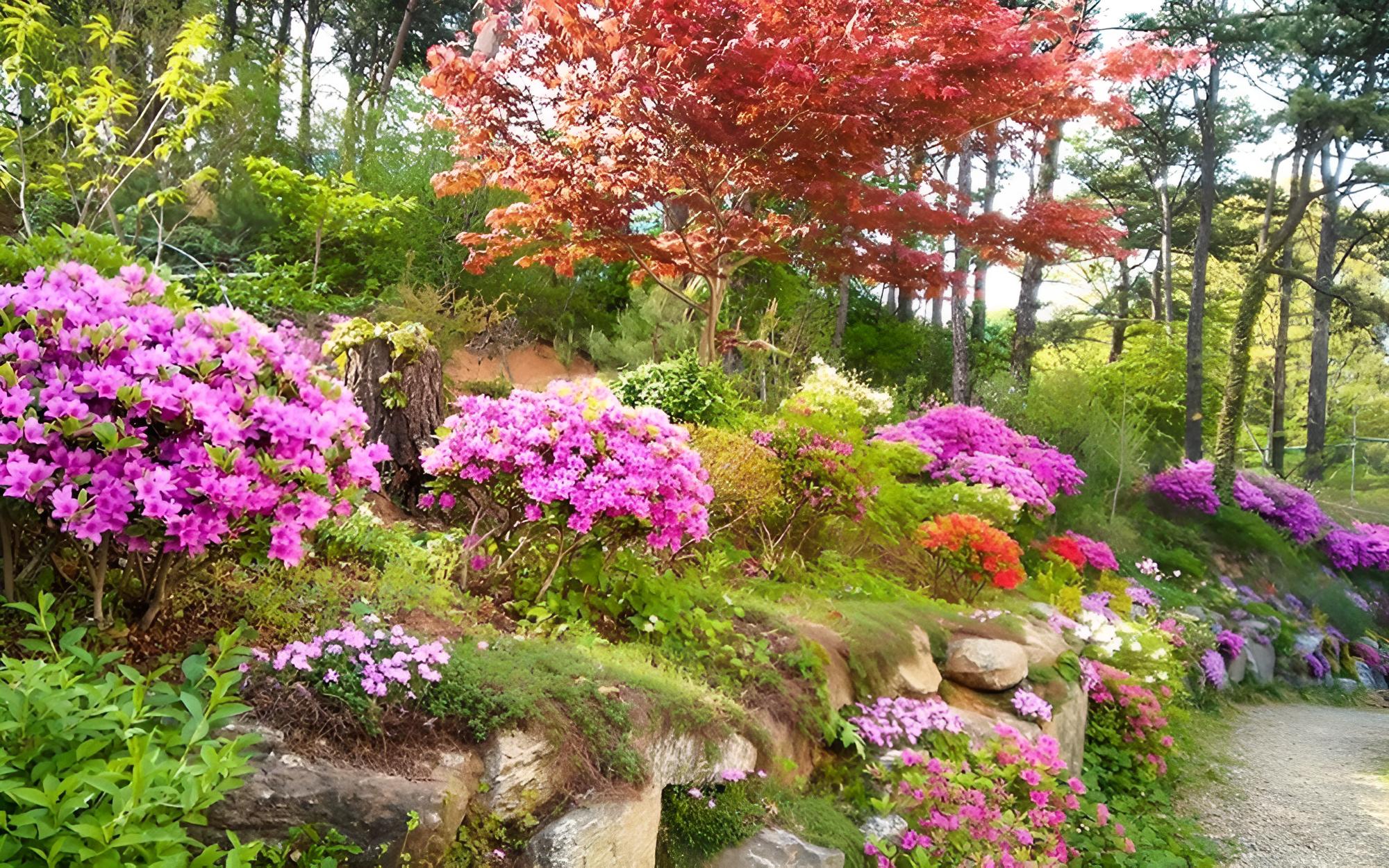 Yongin Byeolbaragi Pension
