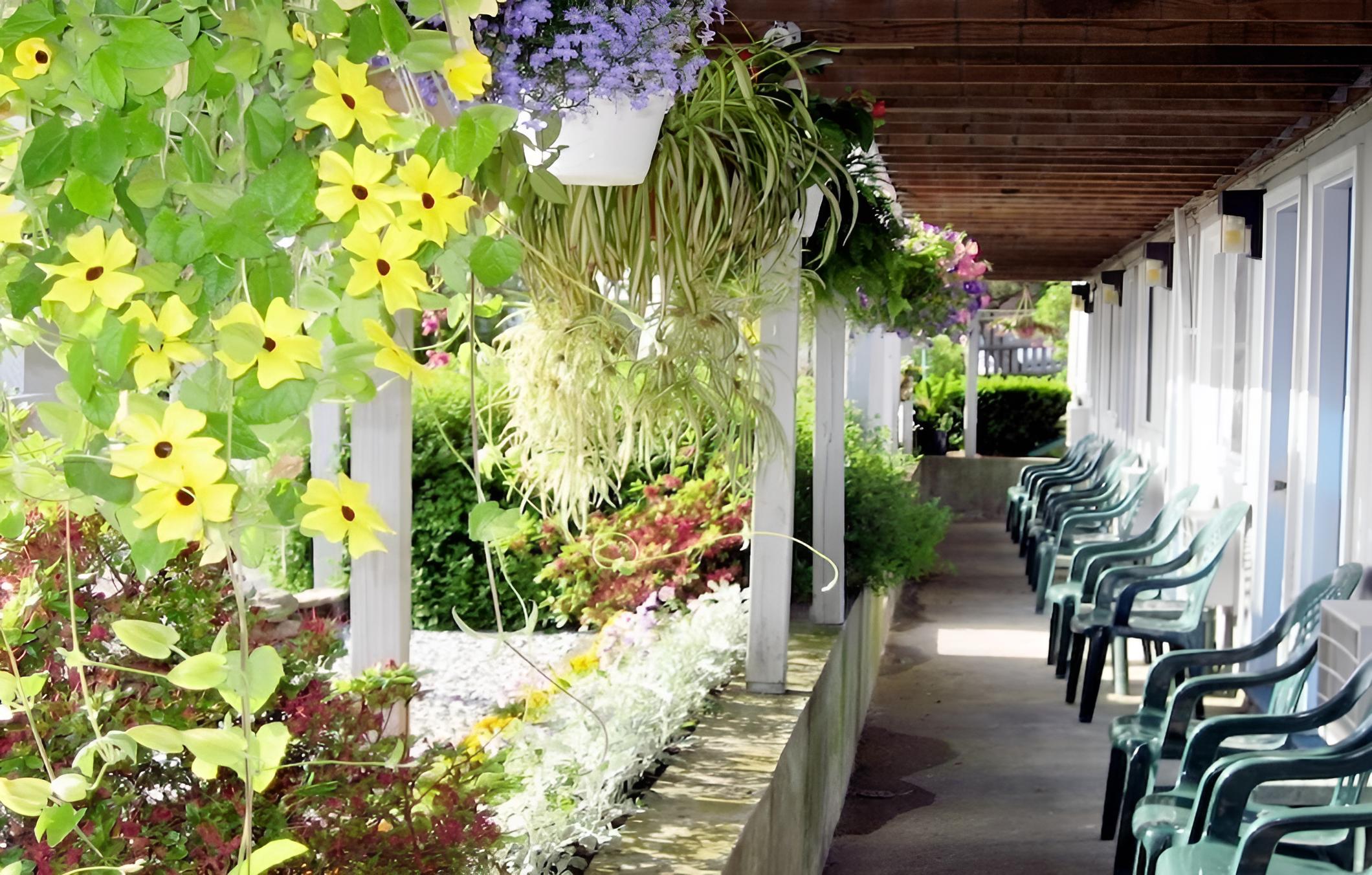 Sea Whale Motel - Property Image 39