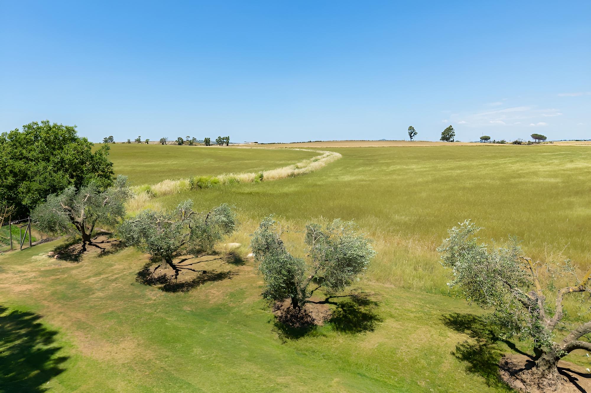 Riserva dell'Olmo