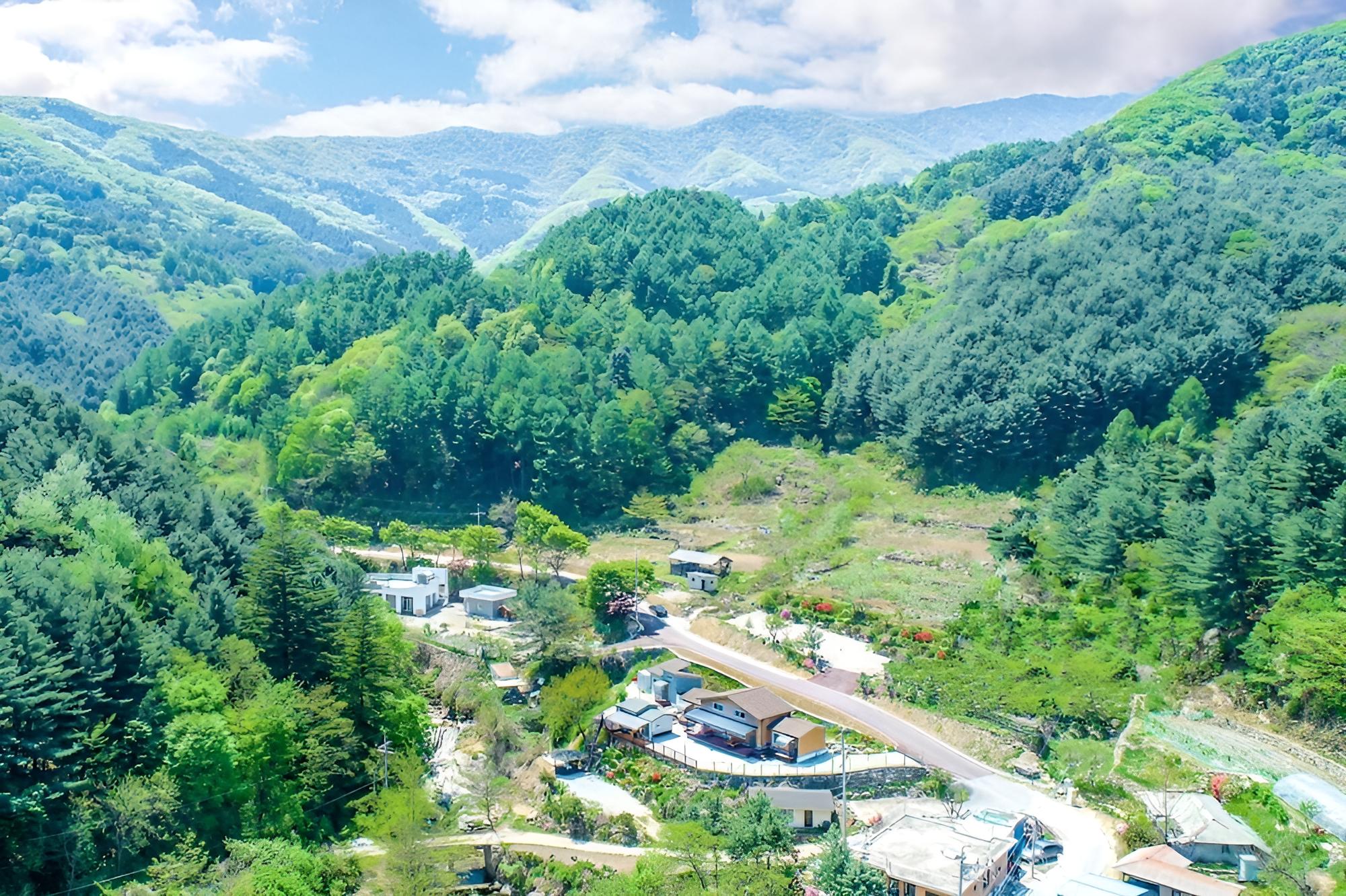 Gapyeong Pumkin Pension