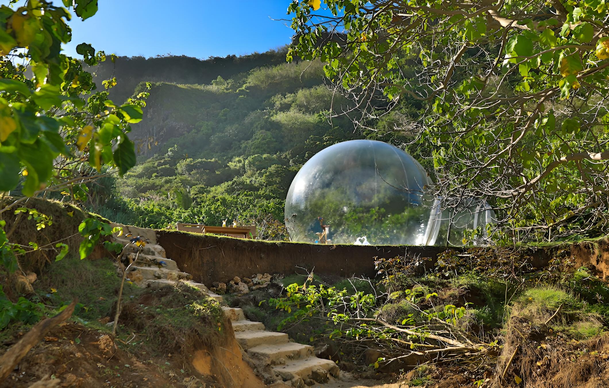 BubbleHotelBali - Glamping