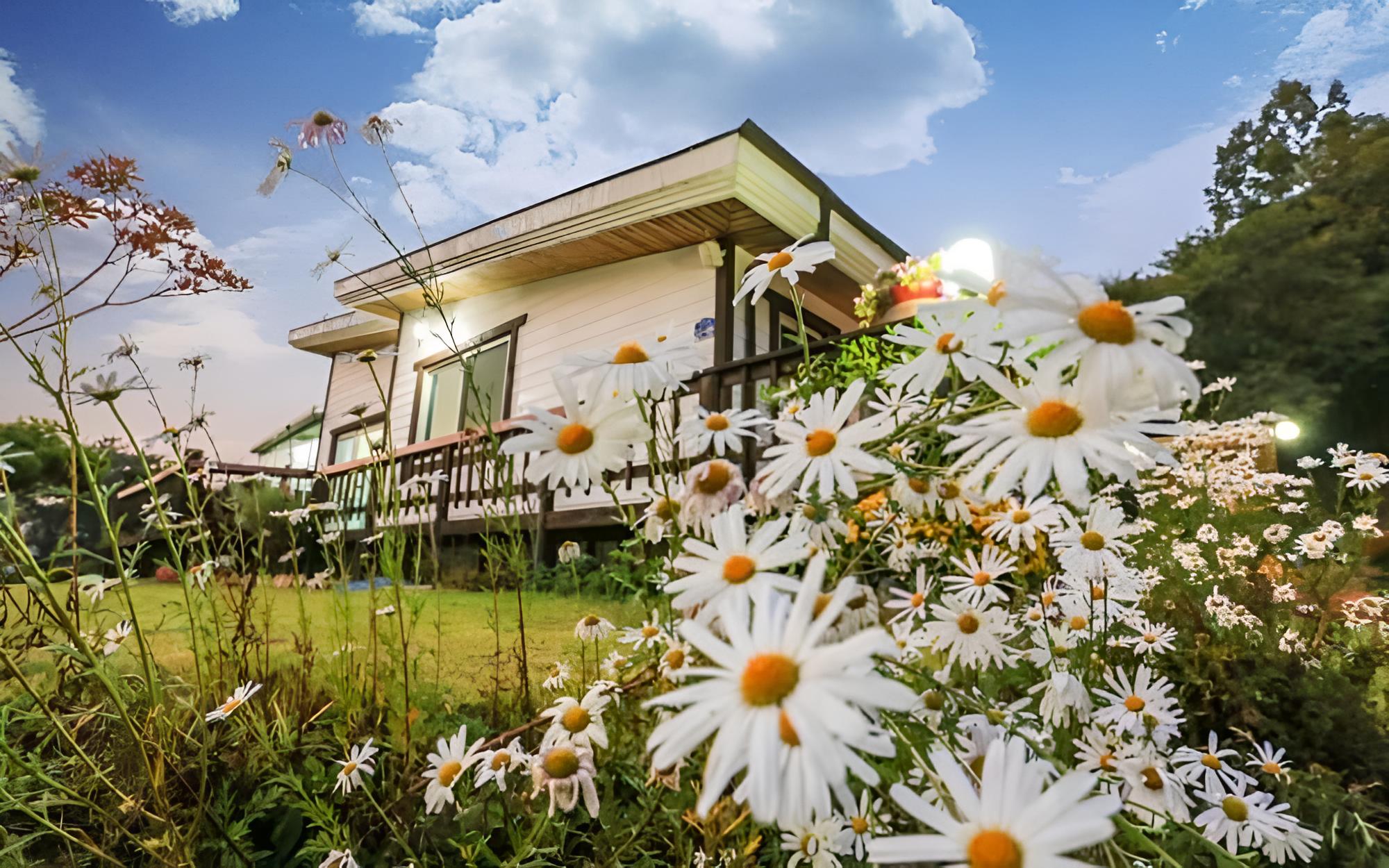 Gapyeong Starry Pension