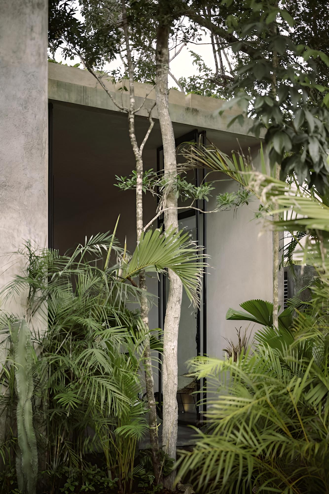 Casa Aviv House Design Awards Dream Swim-up Pool 360 View Rooftop Lush Gardens